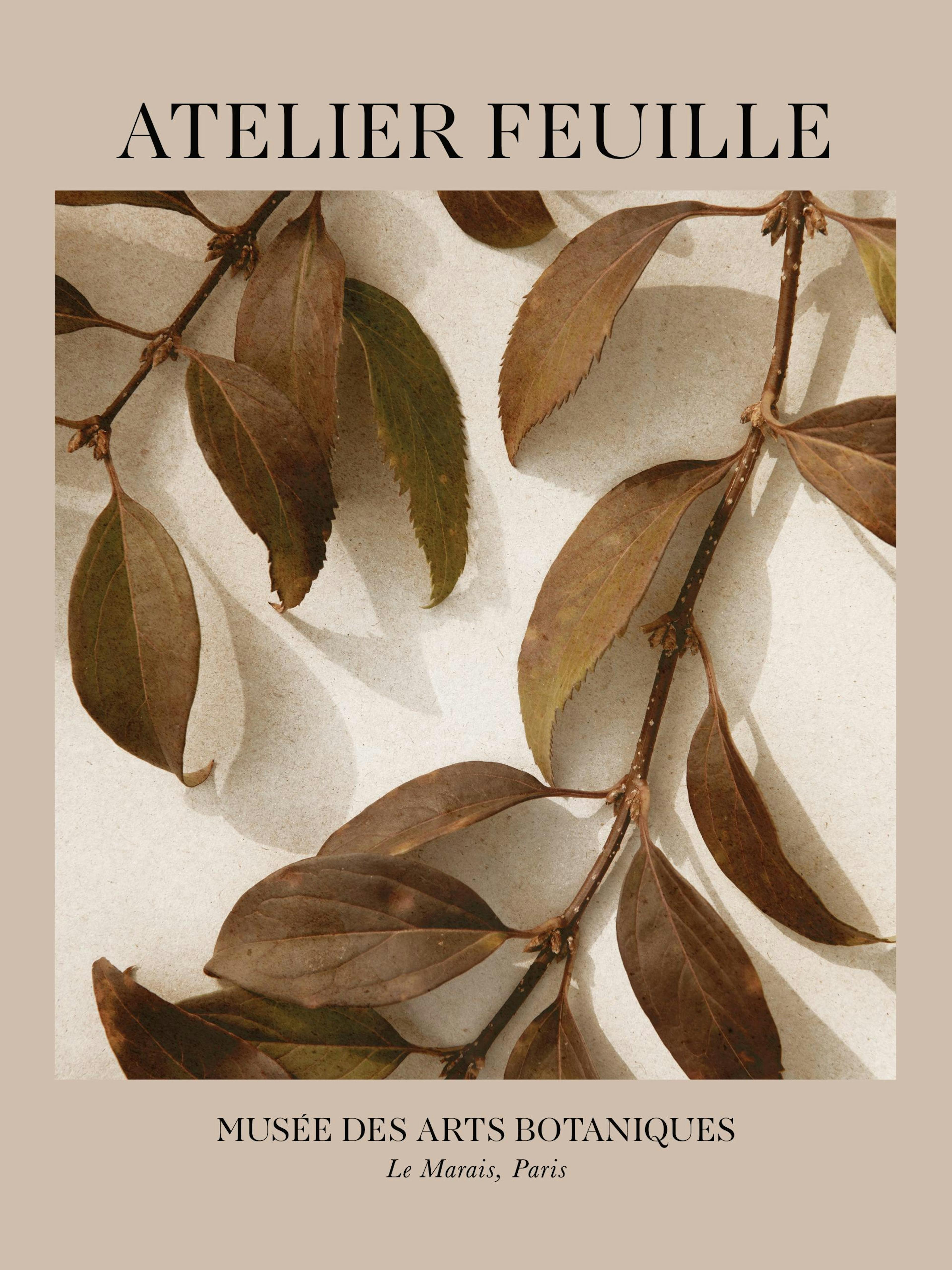 Affiche botanique : branches avec feuilles marron et vertes sur fond beige, avec texte ATELIER FEUILLE.