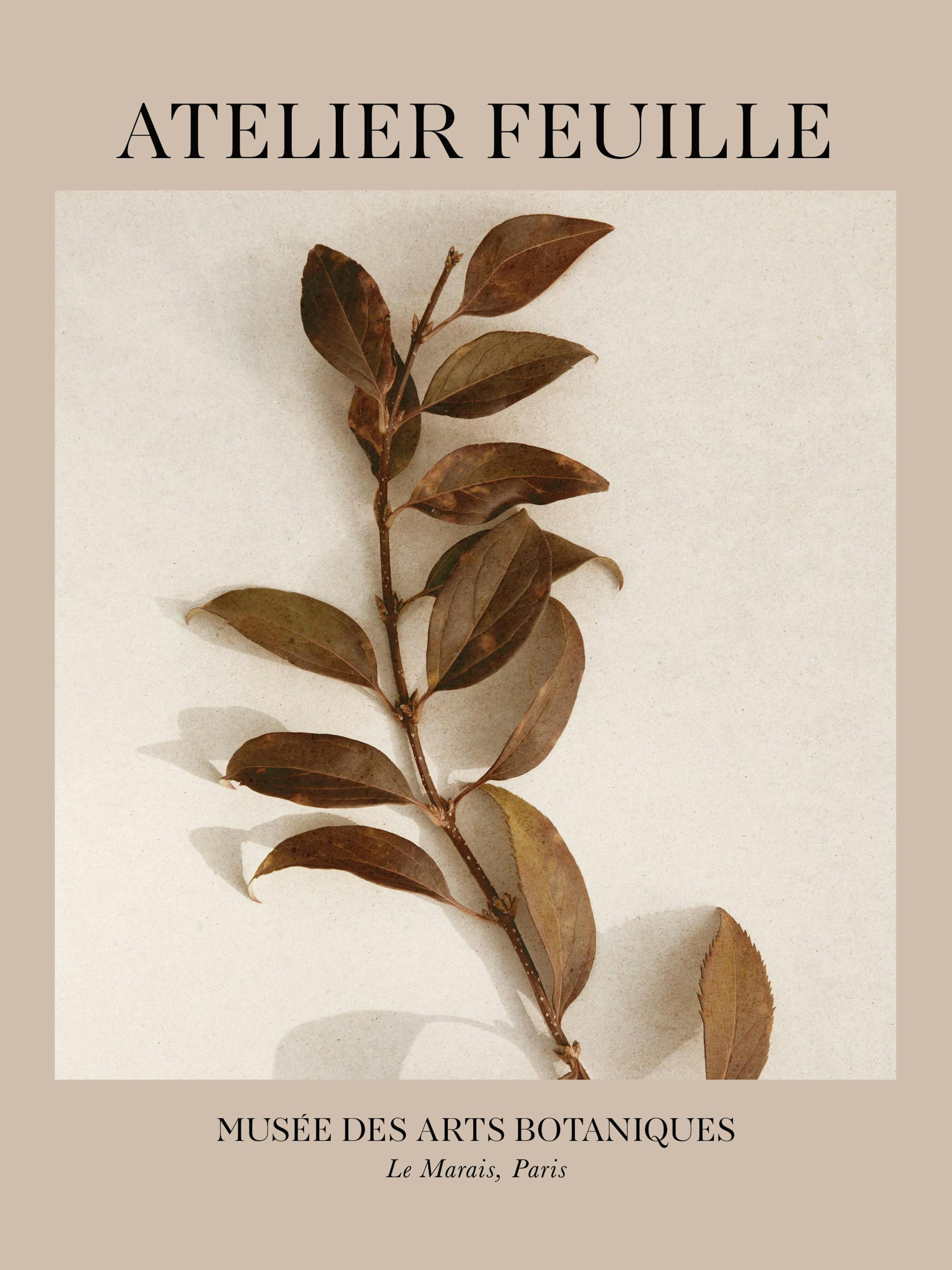 Affiche botanique avec une branche de feuilles marron et rouille sur fond beige, encadrée par un passe-partout taupe.