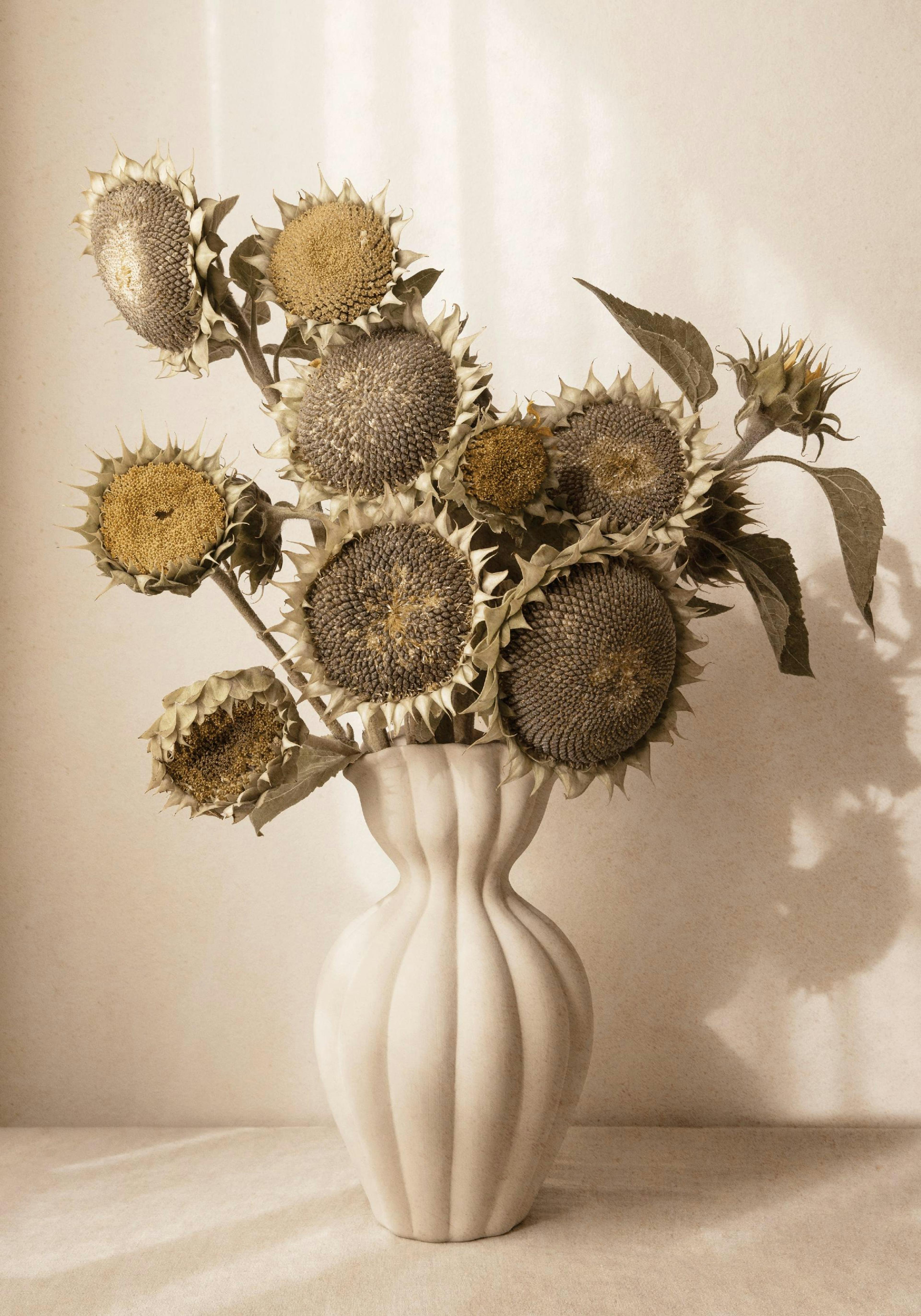 Affiche avec des têtes de tournesols séchées aux nuances marron et beige, dans un vase crème strié.