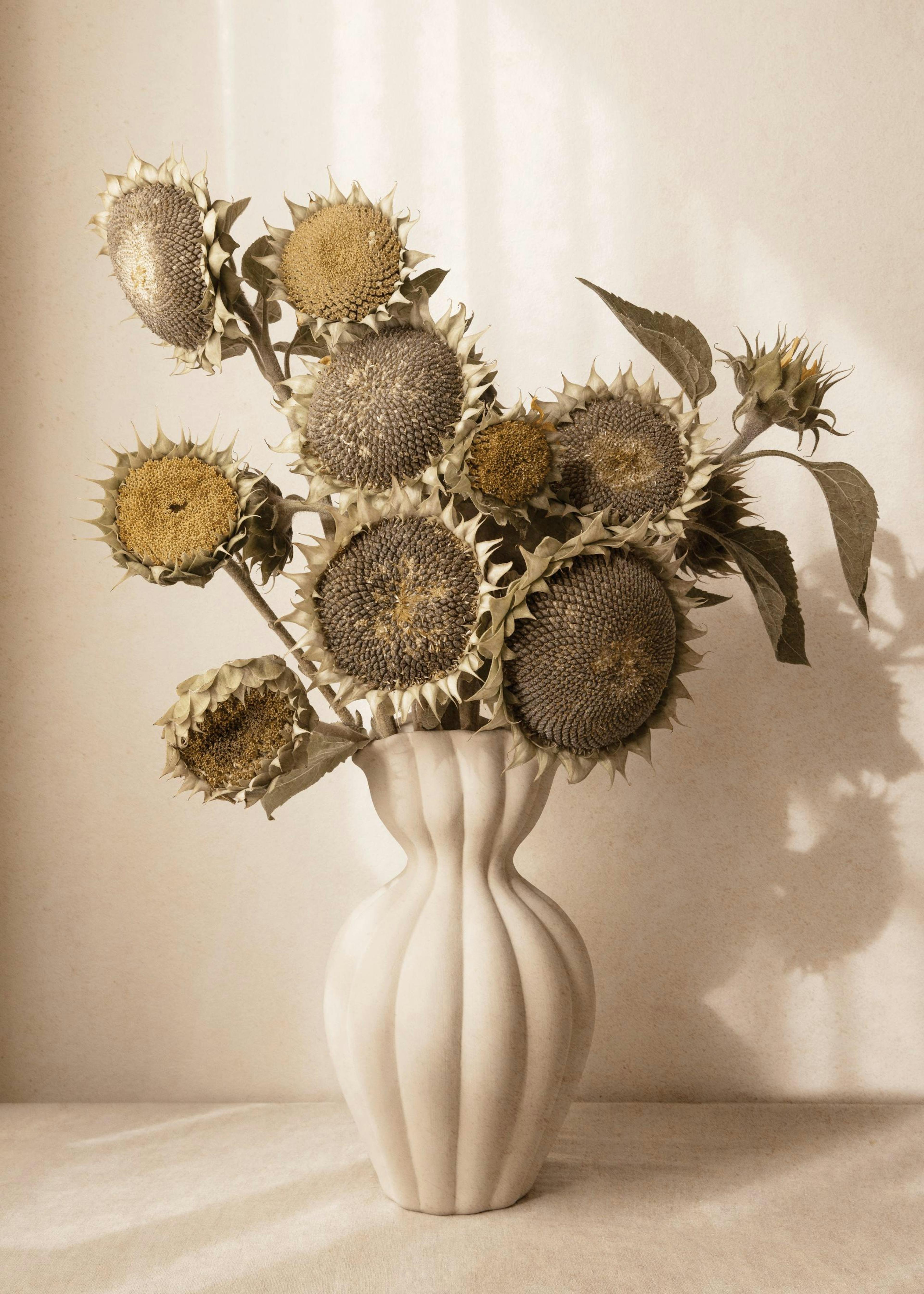 En plakat med tørkede solsikker i en lys vase mot en beige bakgrunn.