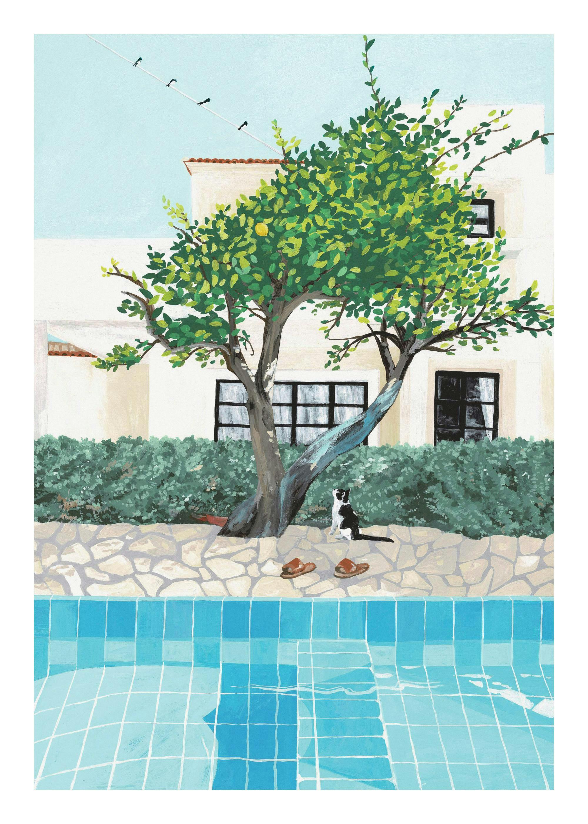 Affiche dune maison blanche avec un arbre et une piscine, un chat noir et blanc est assis sous larbre.