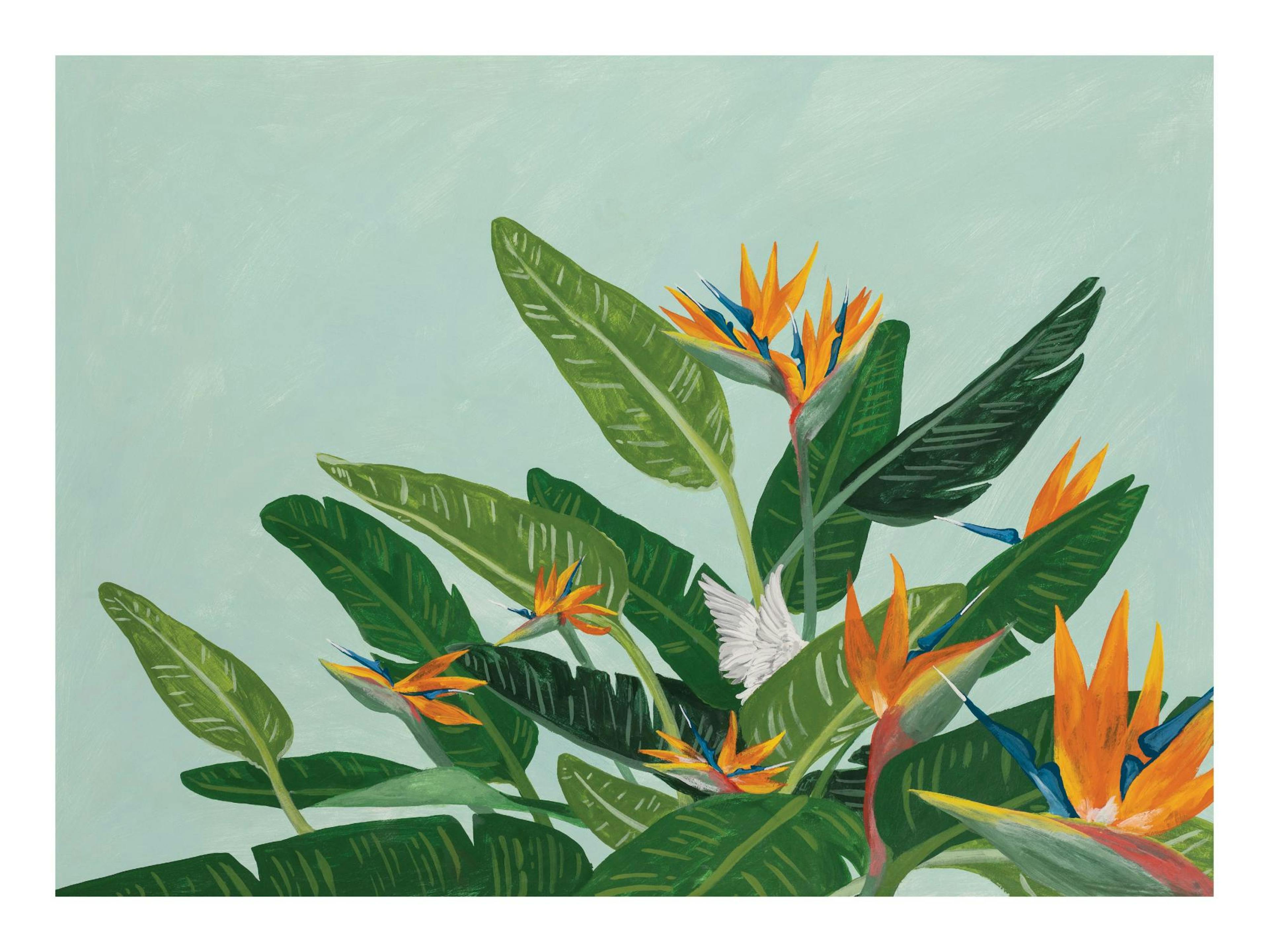 Illustratie van Jaron Su met groene planten en oranje bloemen op een lichtblauwe achtergrond, moderne stijl.