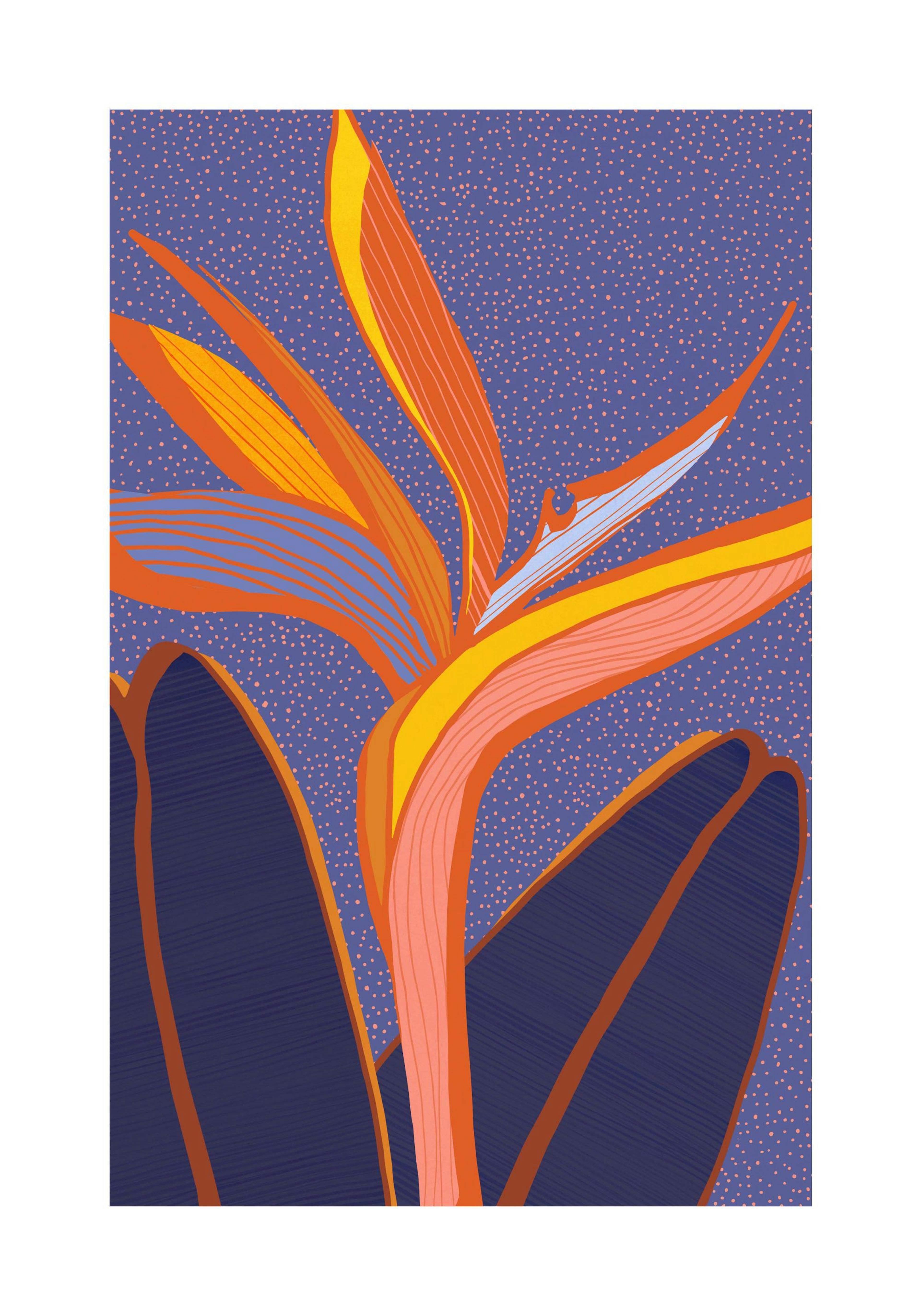 Bunter tropischer Blumen-Poster von Kristian Gallagher. Orange, blaue und gelbe Blume auf lila Sternenhimmel-Hintergrund.
