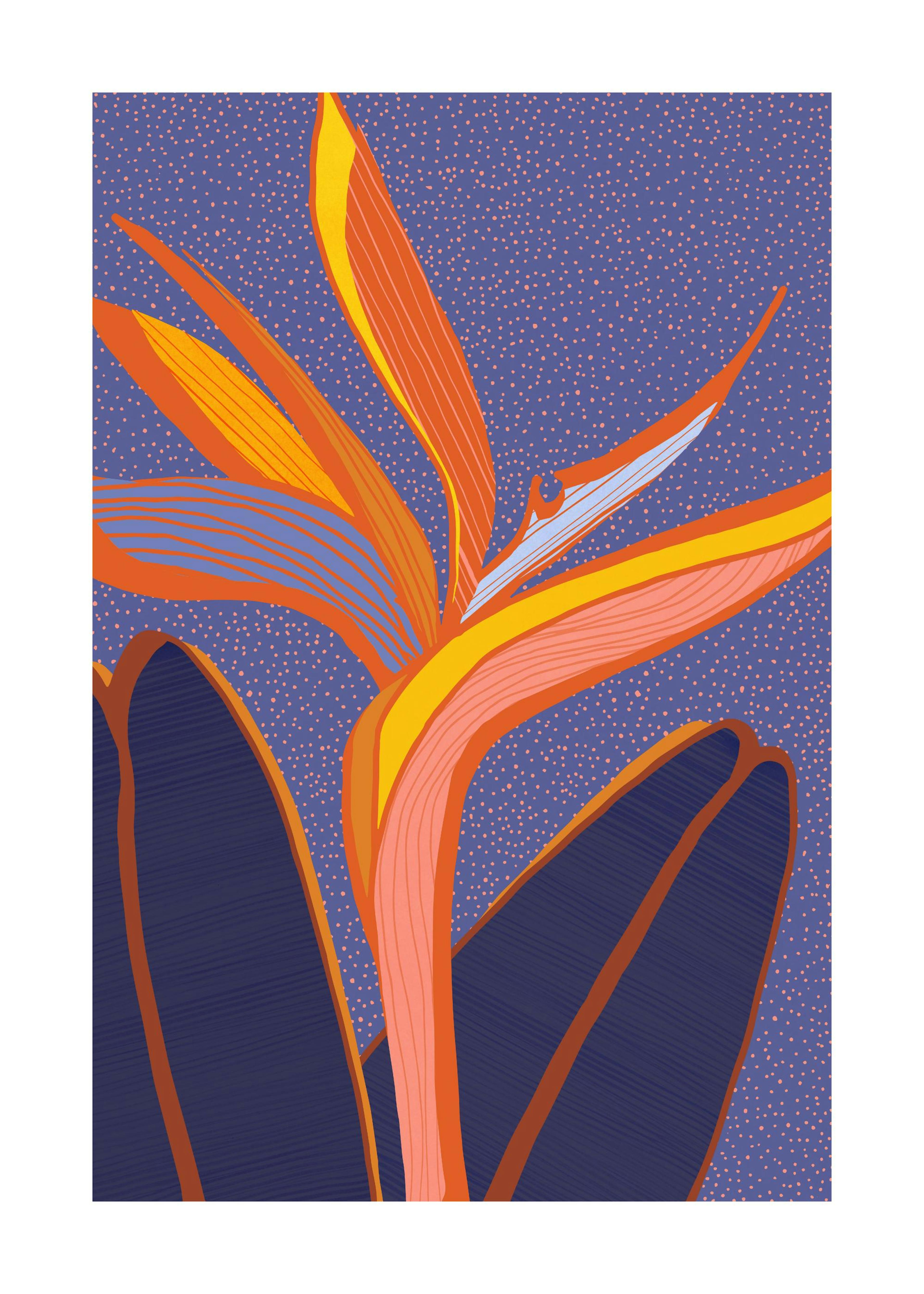 Oranžová, modrá a žlutá tropická květina s hvězdami na fialovém pozadí, stylizovaná ilustrace.