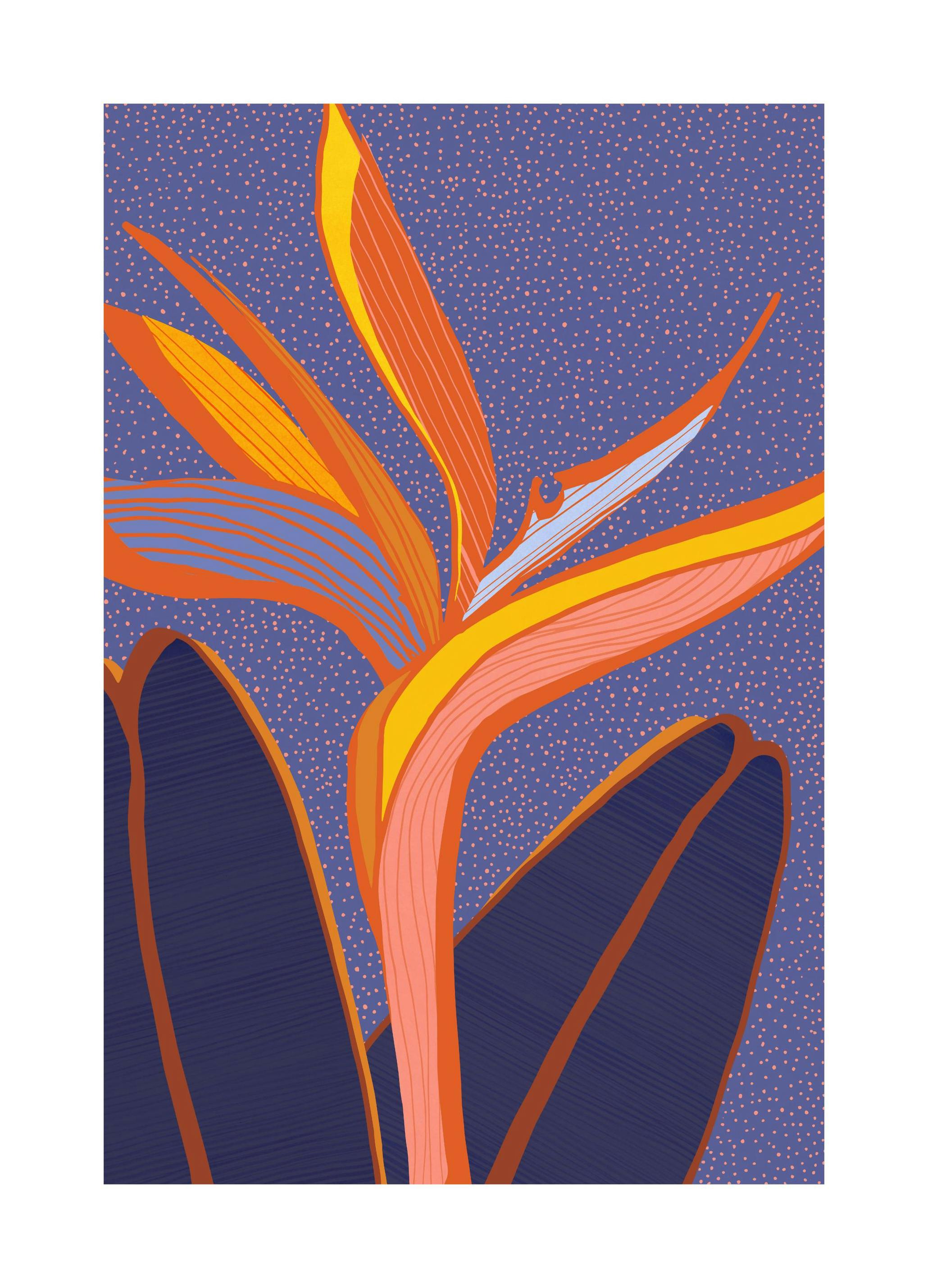 Kristian Gallagher - Bright Tropical Flower Poster (50x70 cm)