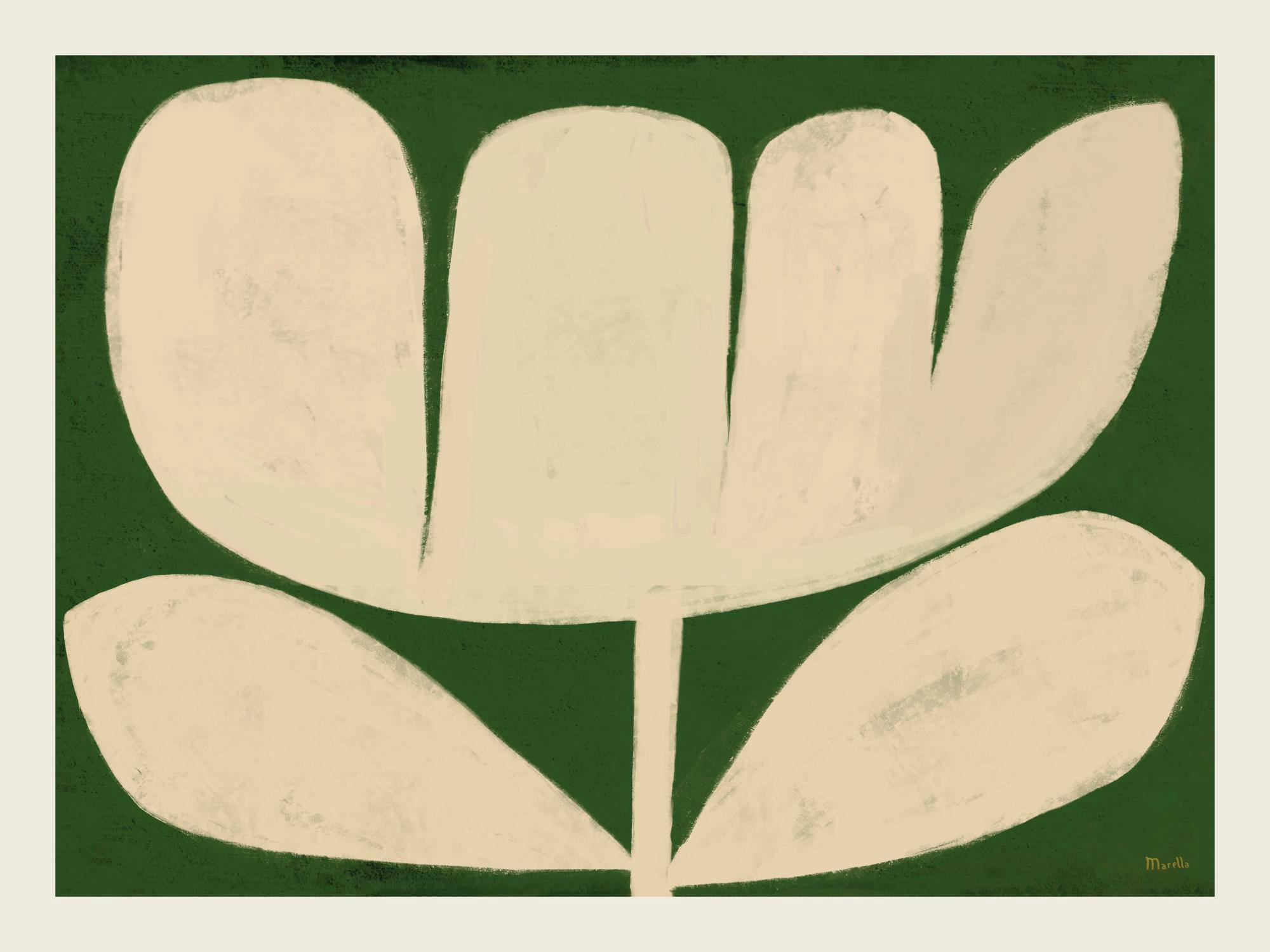 Marco Marella affisch, abstrakt krämvit blomma med stora kronblad och blad på mörkgrön bakgrund.