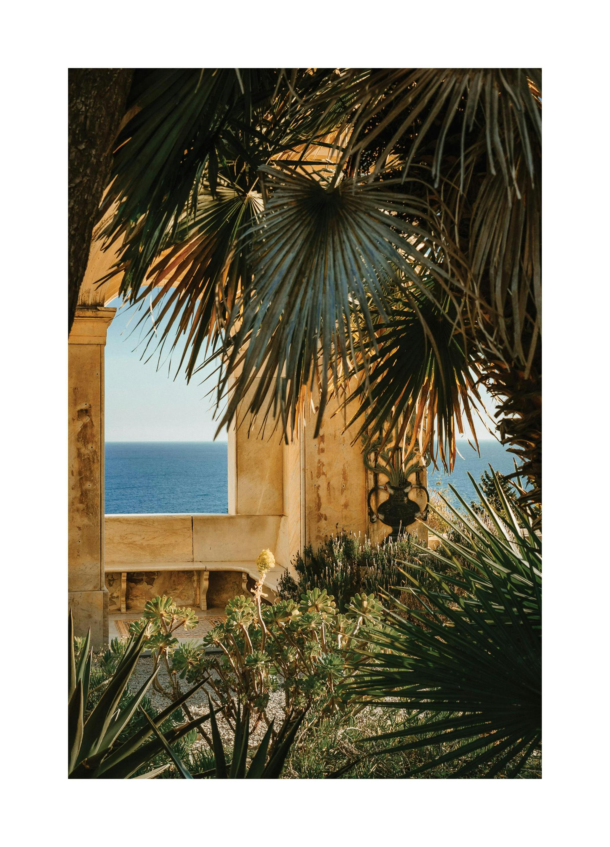 Thao Courtial - Hanbury Garden No1 Print (50x70 cm)