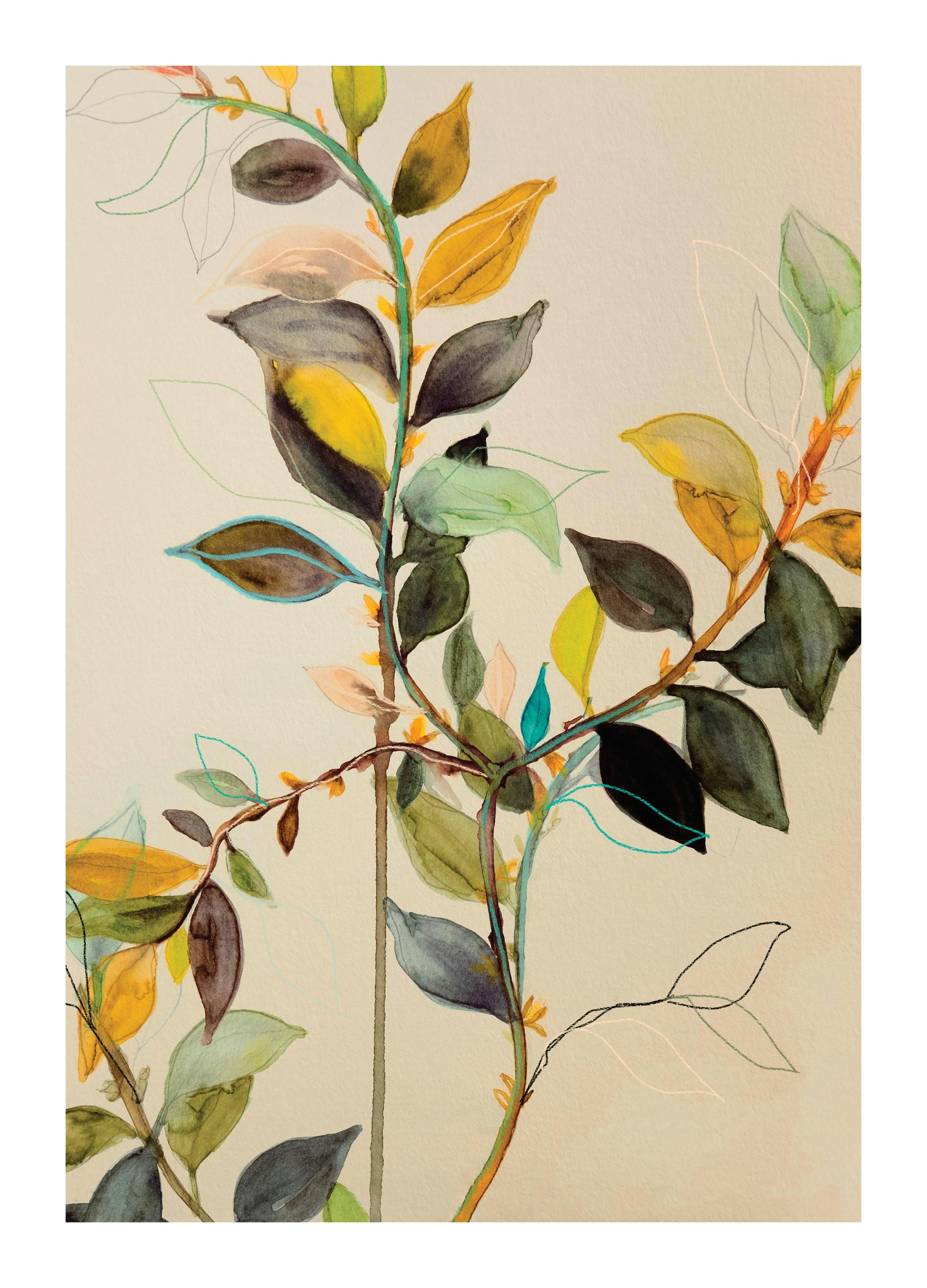 Leigh Viner - Willow Poster (30x40 cm)- Leigh Viner