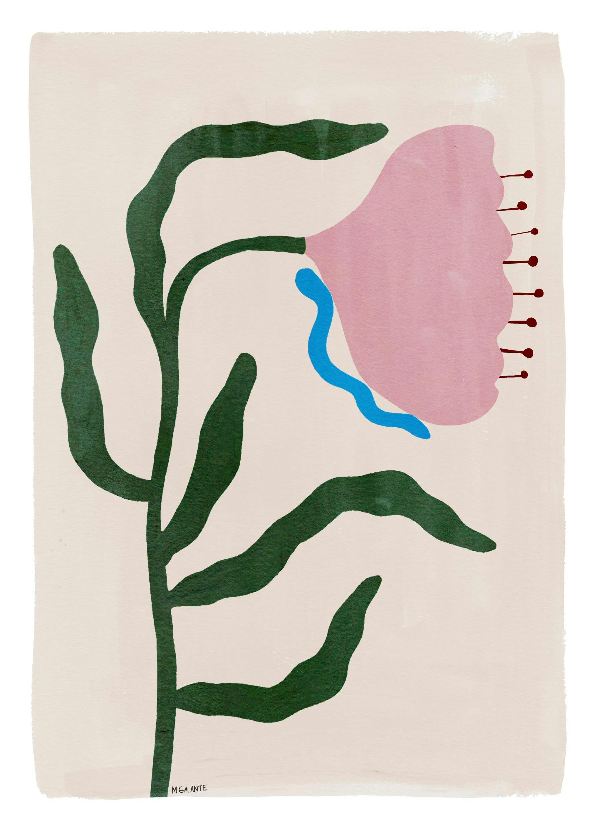 Megan Galante - Morning Floral Poster (30x40 cm)- Megan Galante