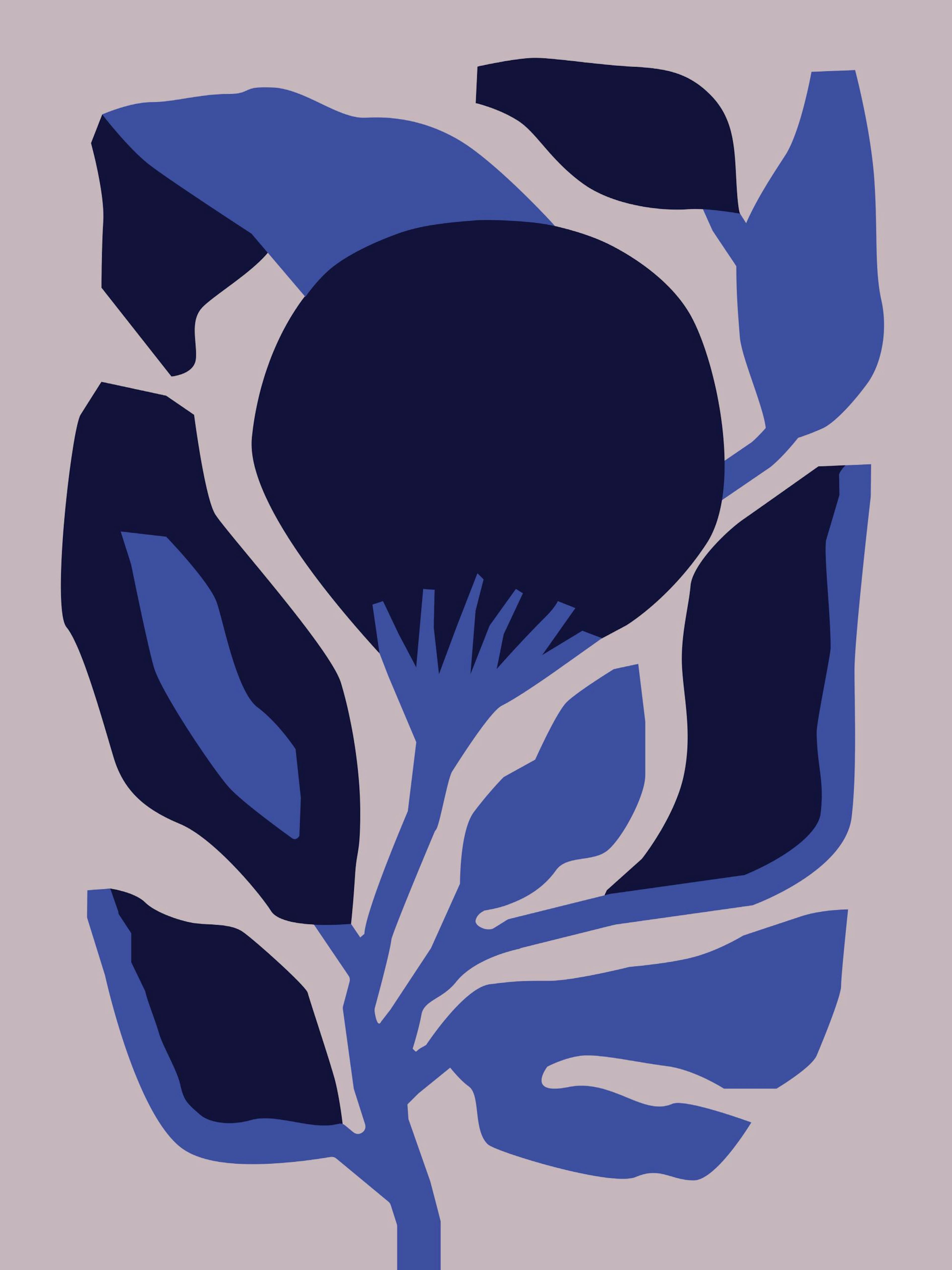 Berenice Hernandez Flor Enero Print, illustrated vibrant blue flower with abstract leaves on a light grey background