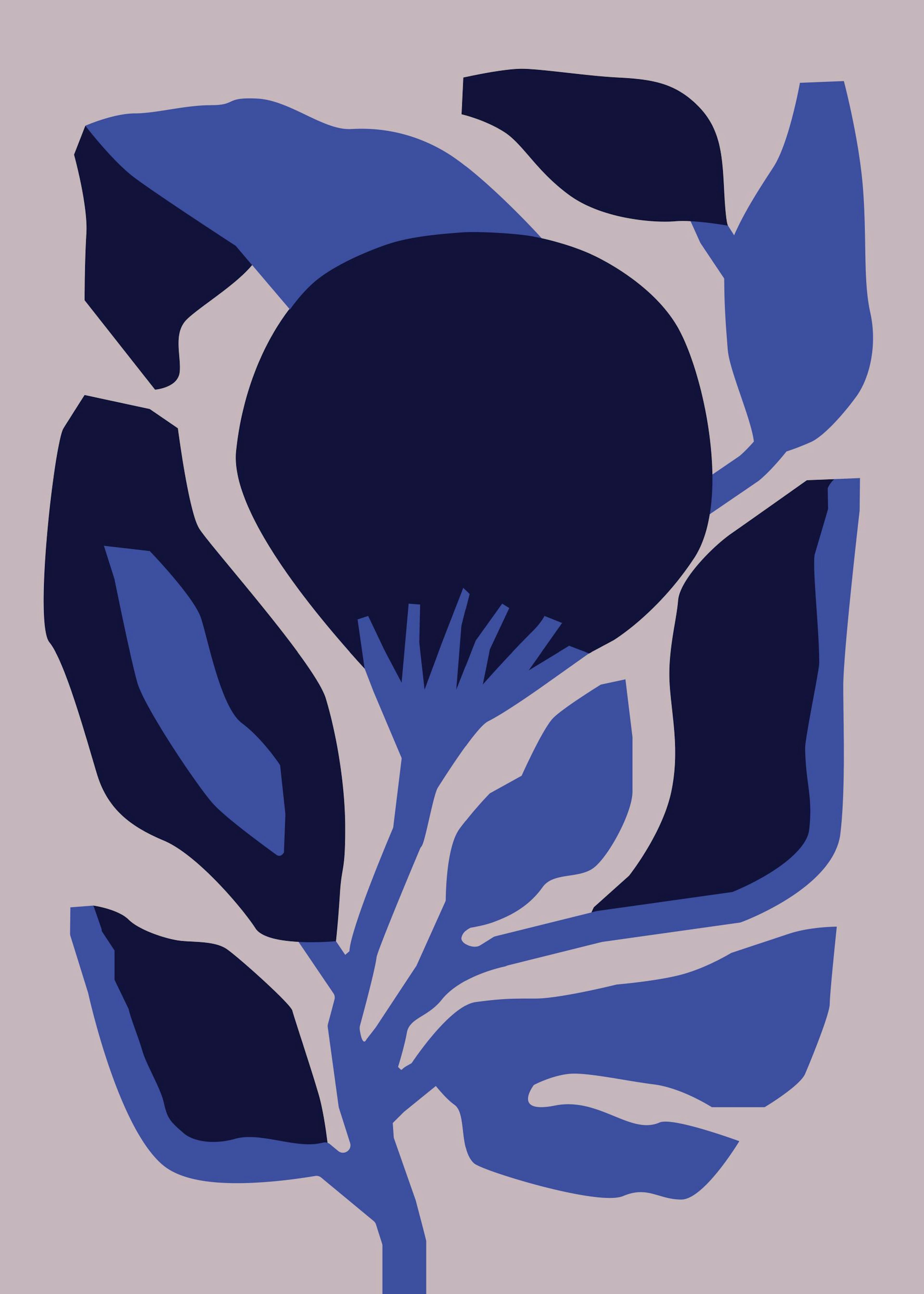 Berenice Hernandez - Flor Enero Plakat 0
