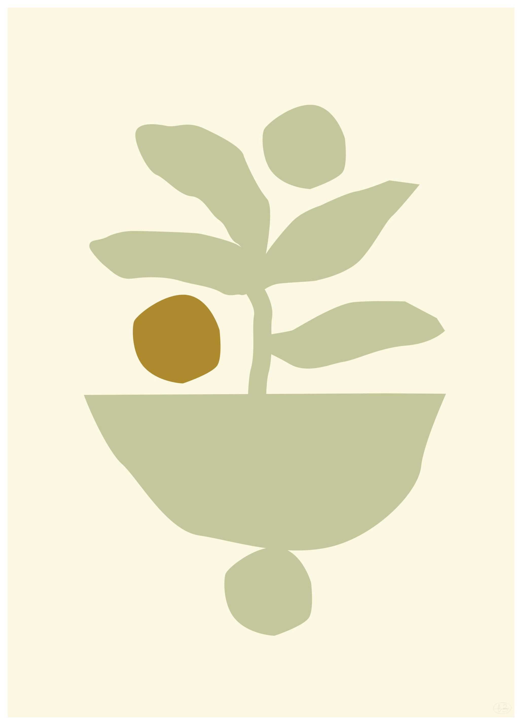 Berenice Hernandez - Maceta Beige Print (30x40 cm)