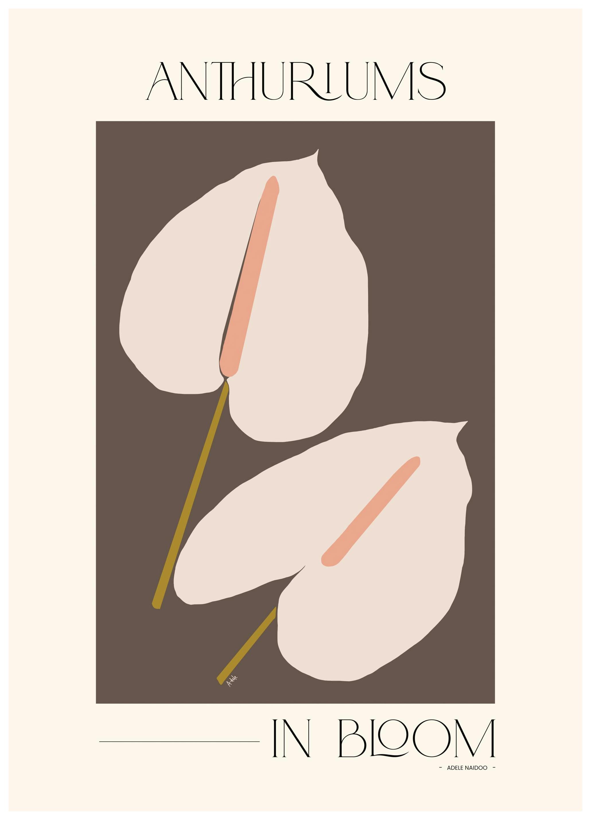 Adele Naidoo - Anthuriums in Bloom Print (30x40 cm)