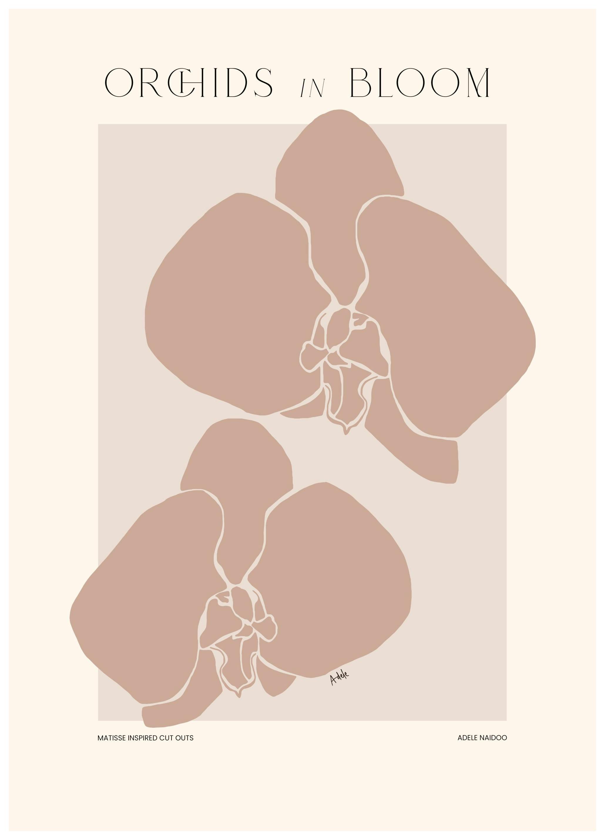 Adele Naidoo - Orchids in Bloom Print (30x40 cm)