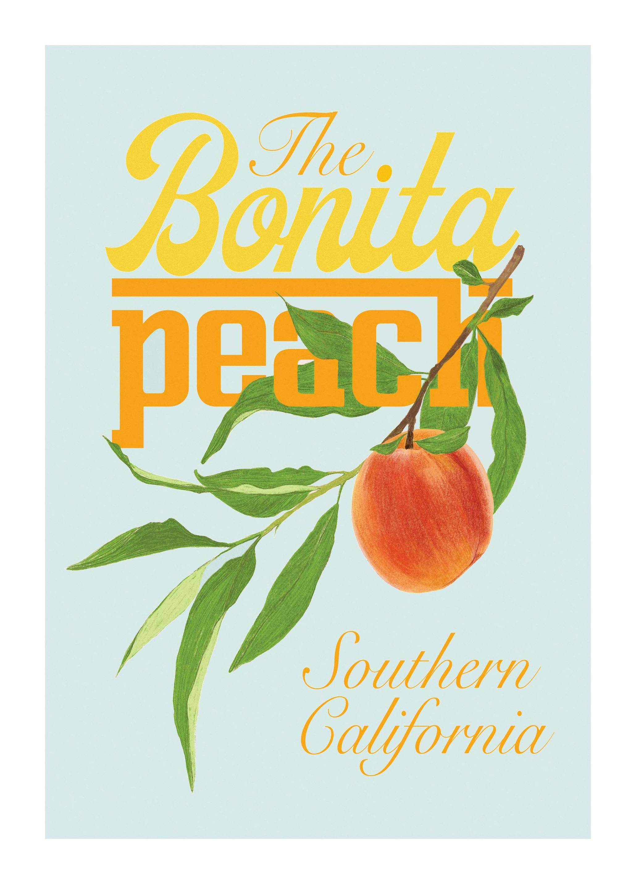 Jenny Liz Rome - The Bonita Peach Print (50x70 cm)