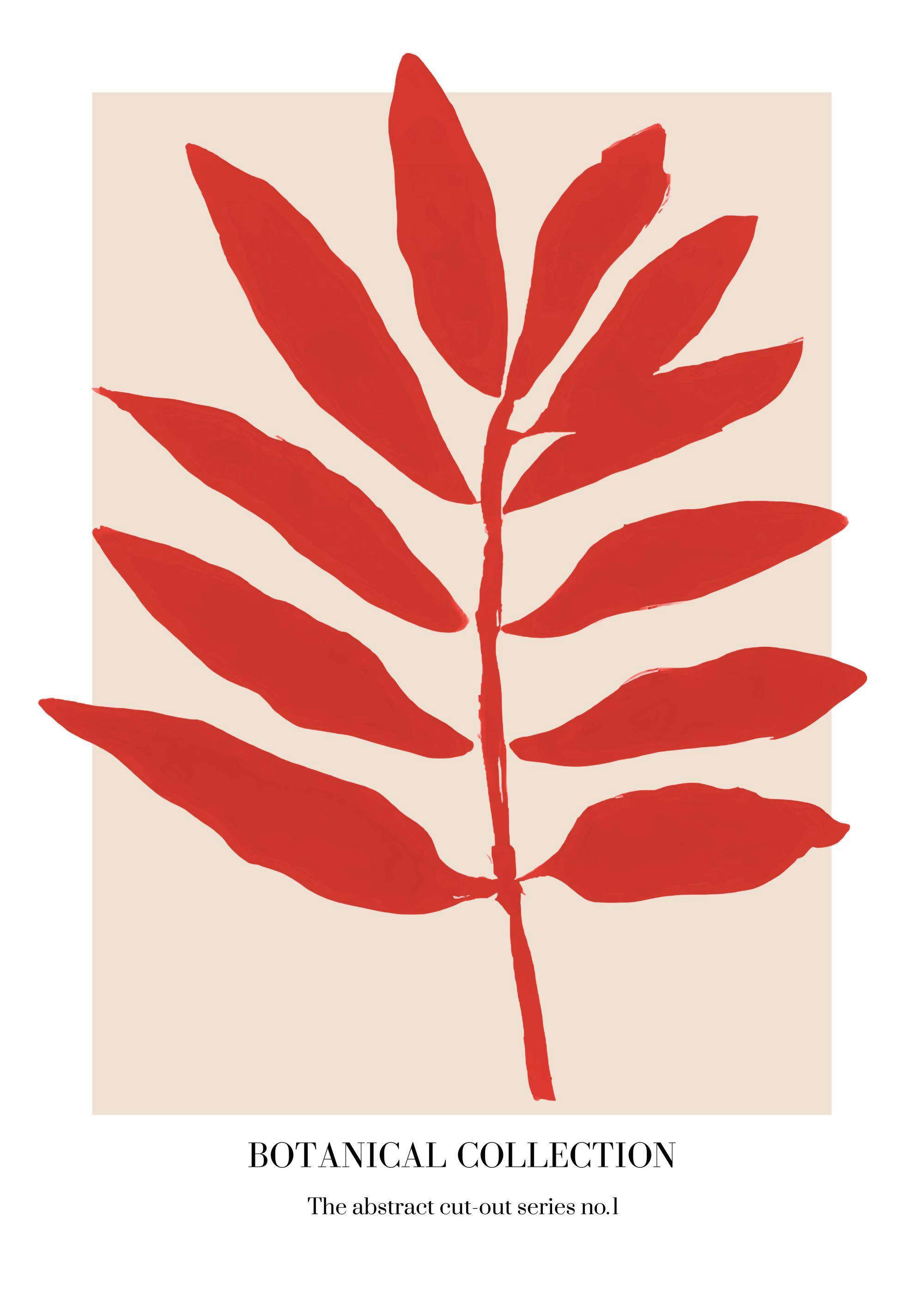 Affiche Merel Takken, plante rouge avec longues feuilles sur fond beige, typographie Botanical Collection