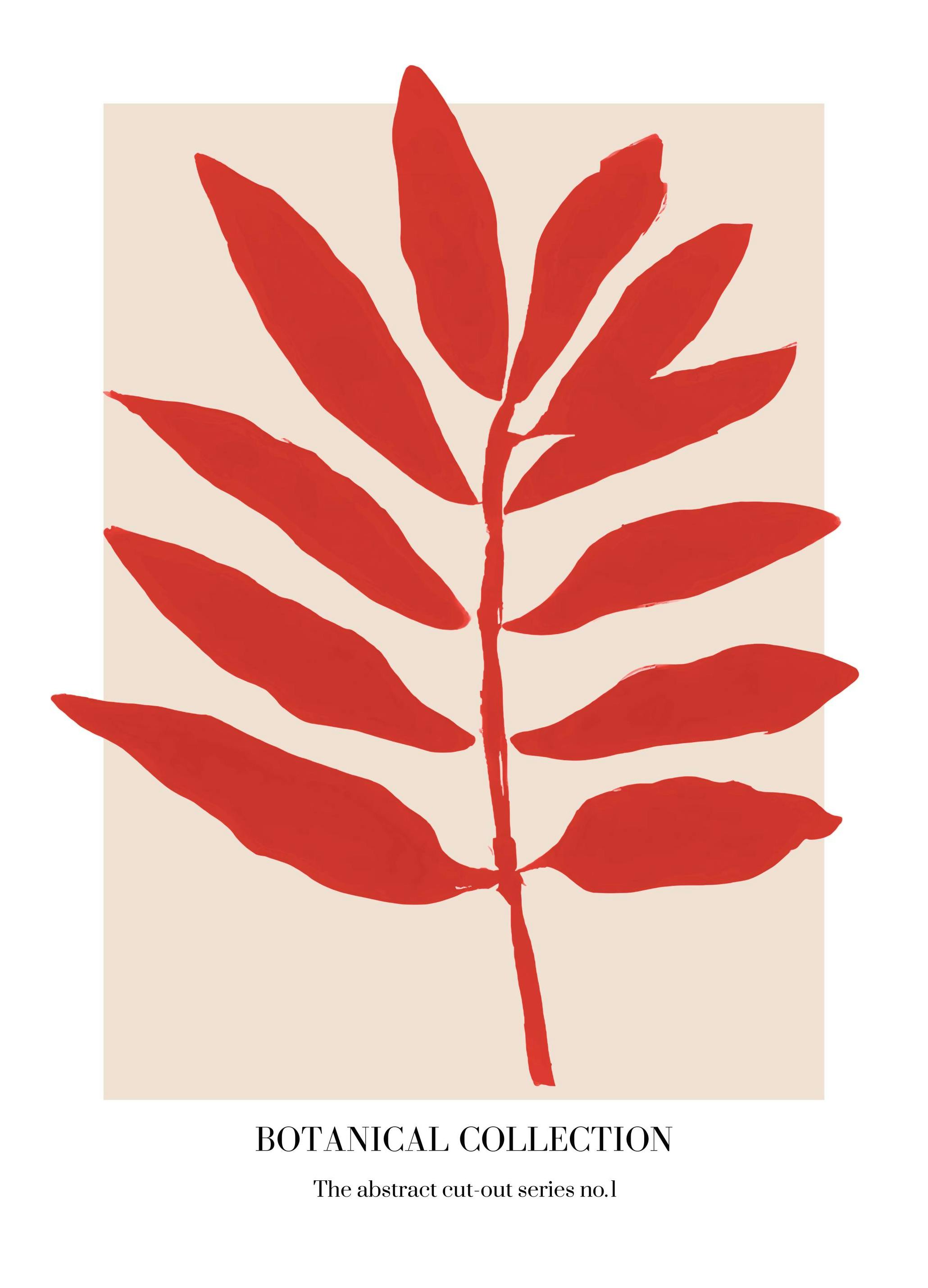 Merel Takken - Botanical Collection No1 Plagát (50x70 cm)