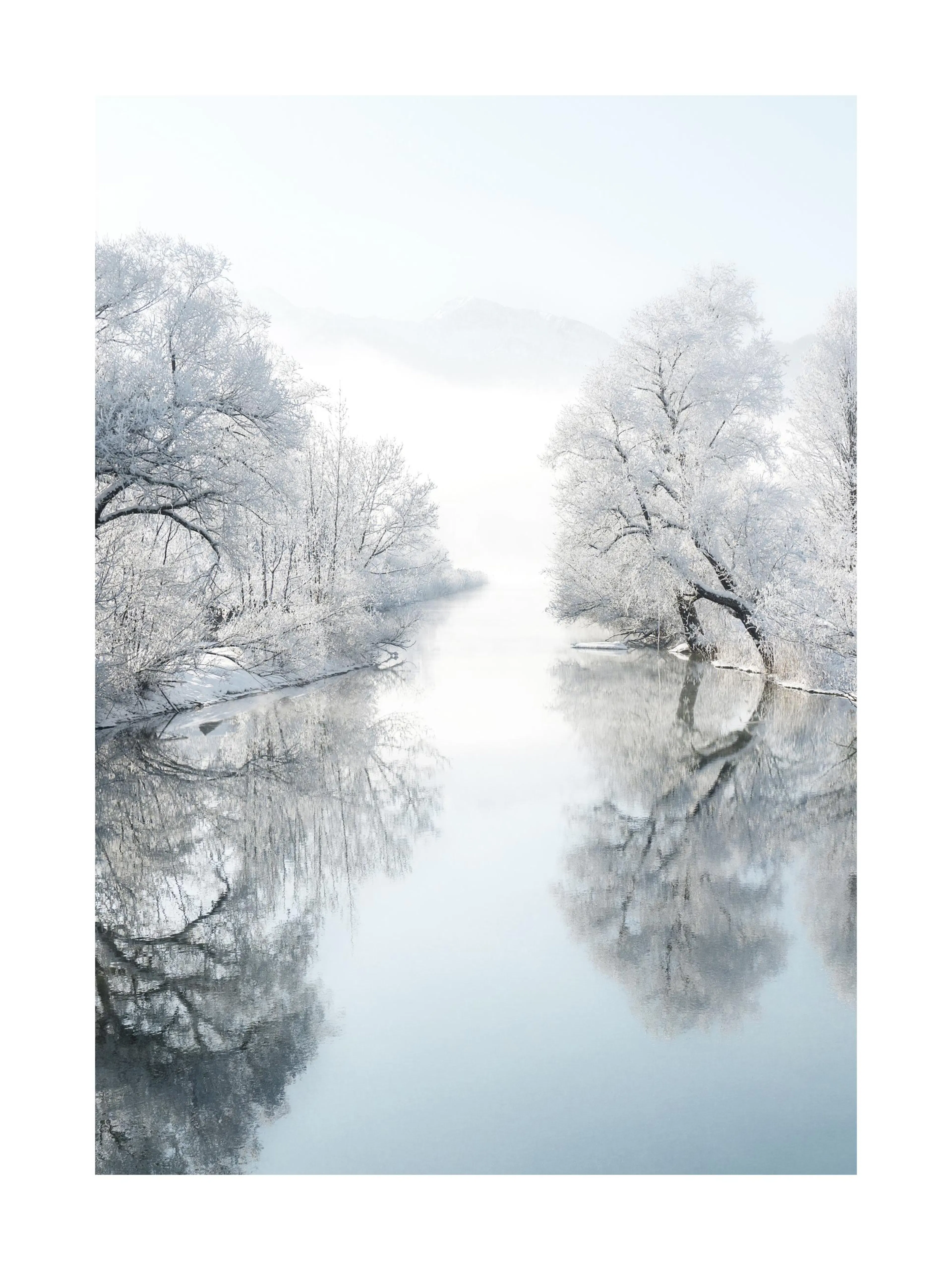 Winterliches Flussufer mit frostbedeckten Bäumen, die sich im ruhig fließenden Wasser spiegeln. Winterlandschaft.