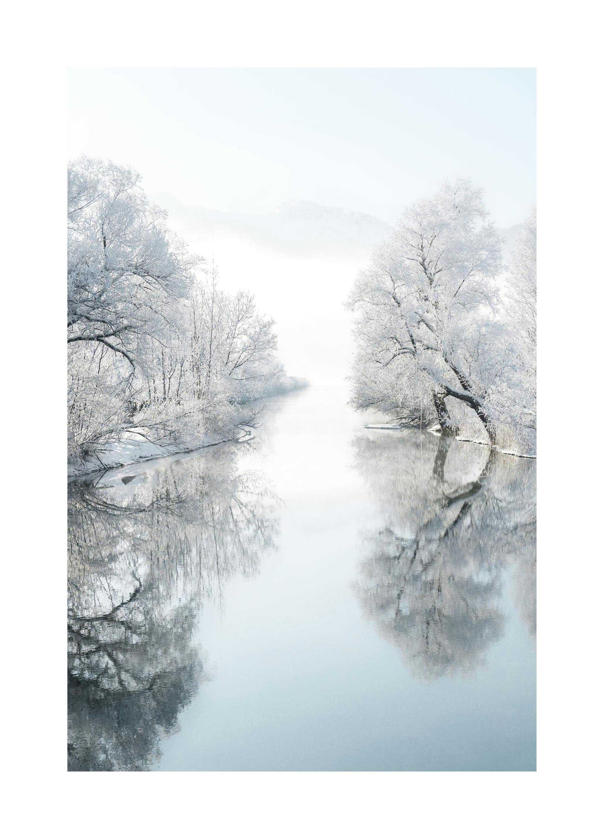Frosty Winter Poster (21x30 cm)- Posters de inverno