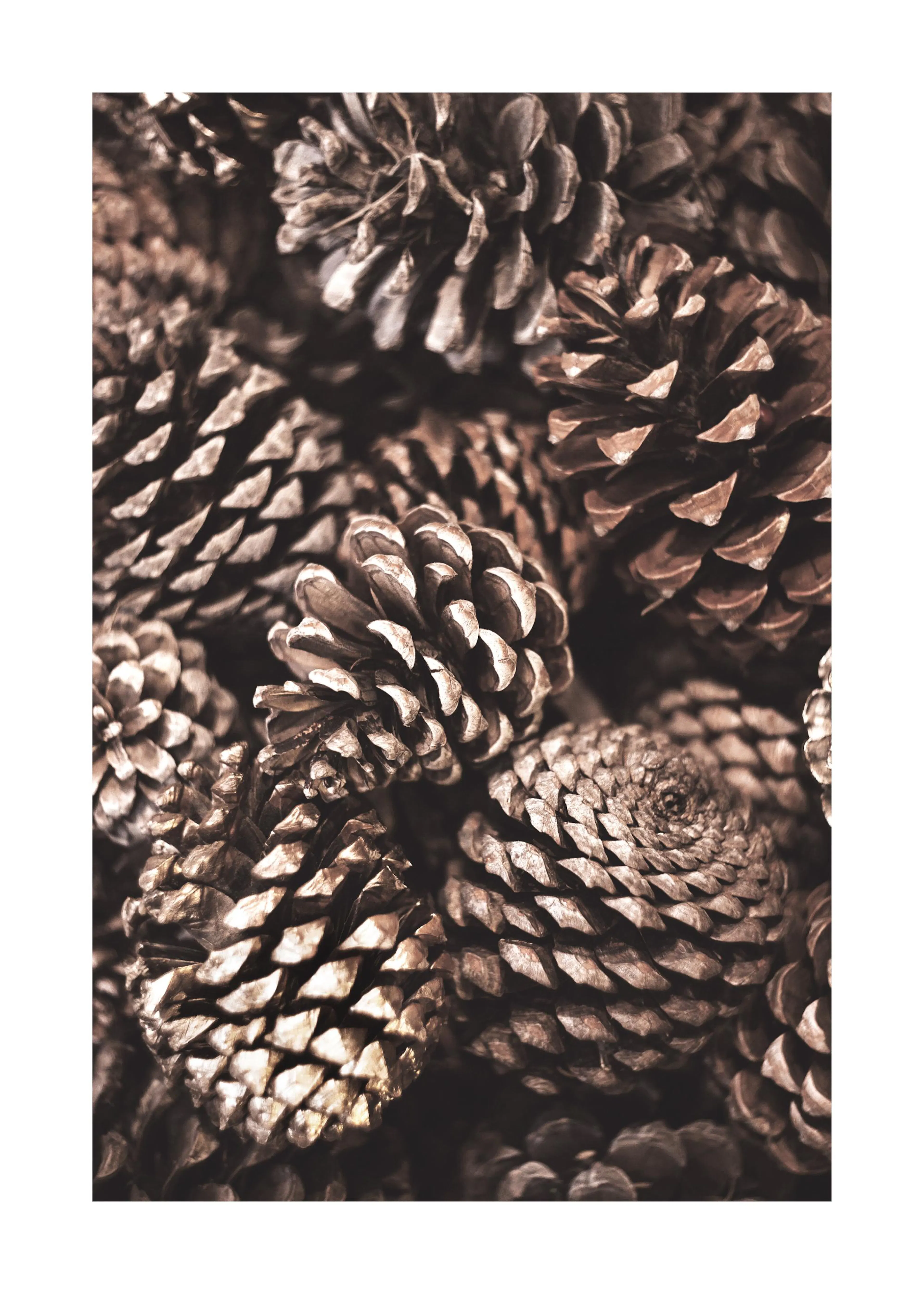 Product image: 1