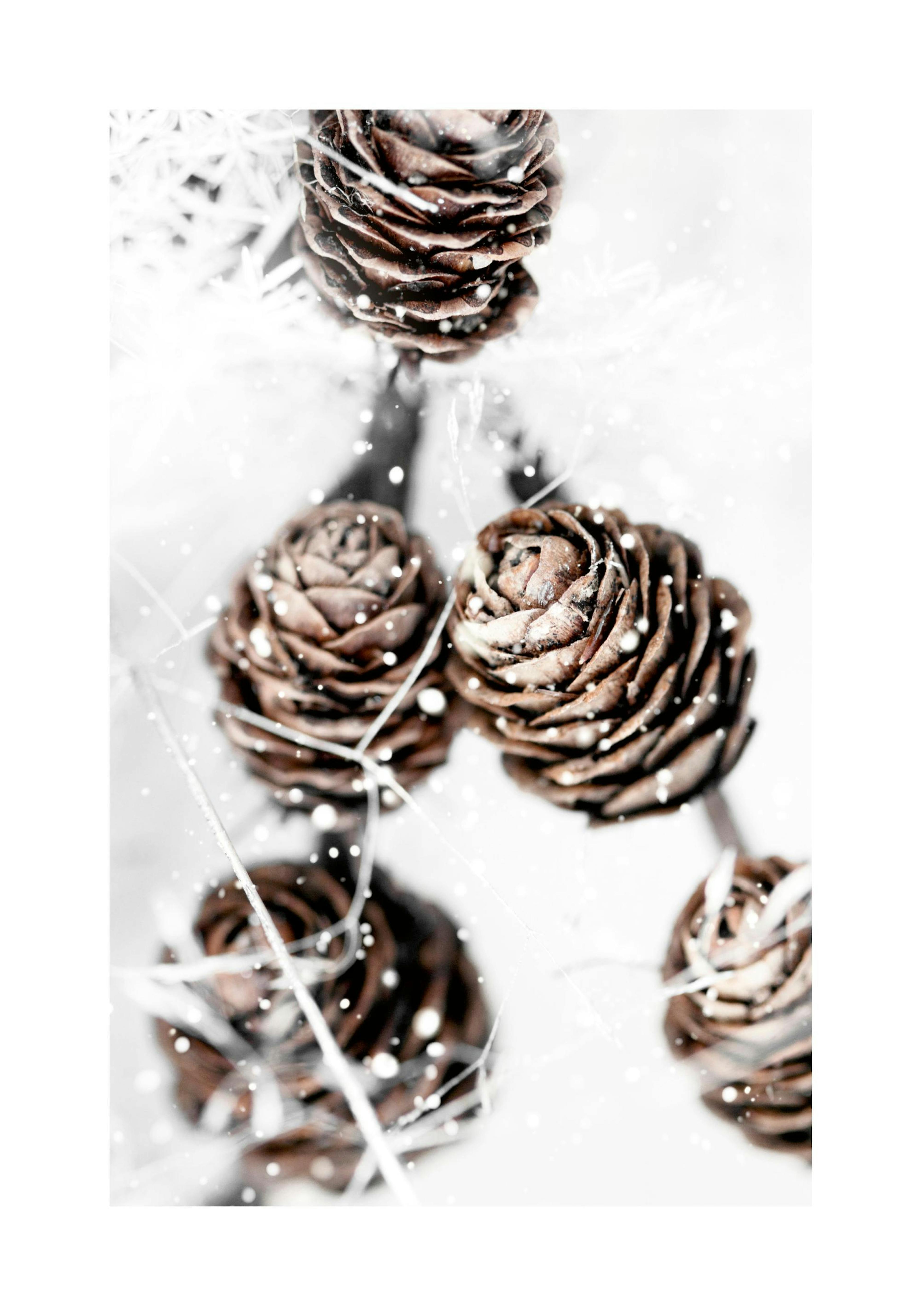 Product image: 1