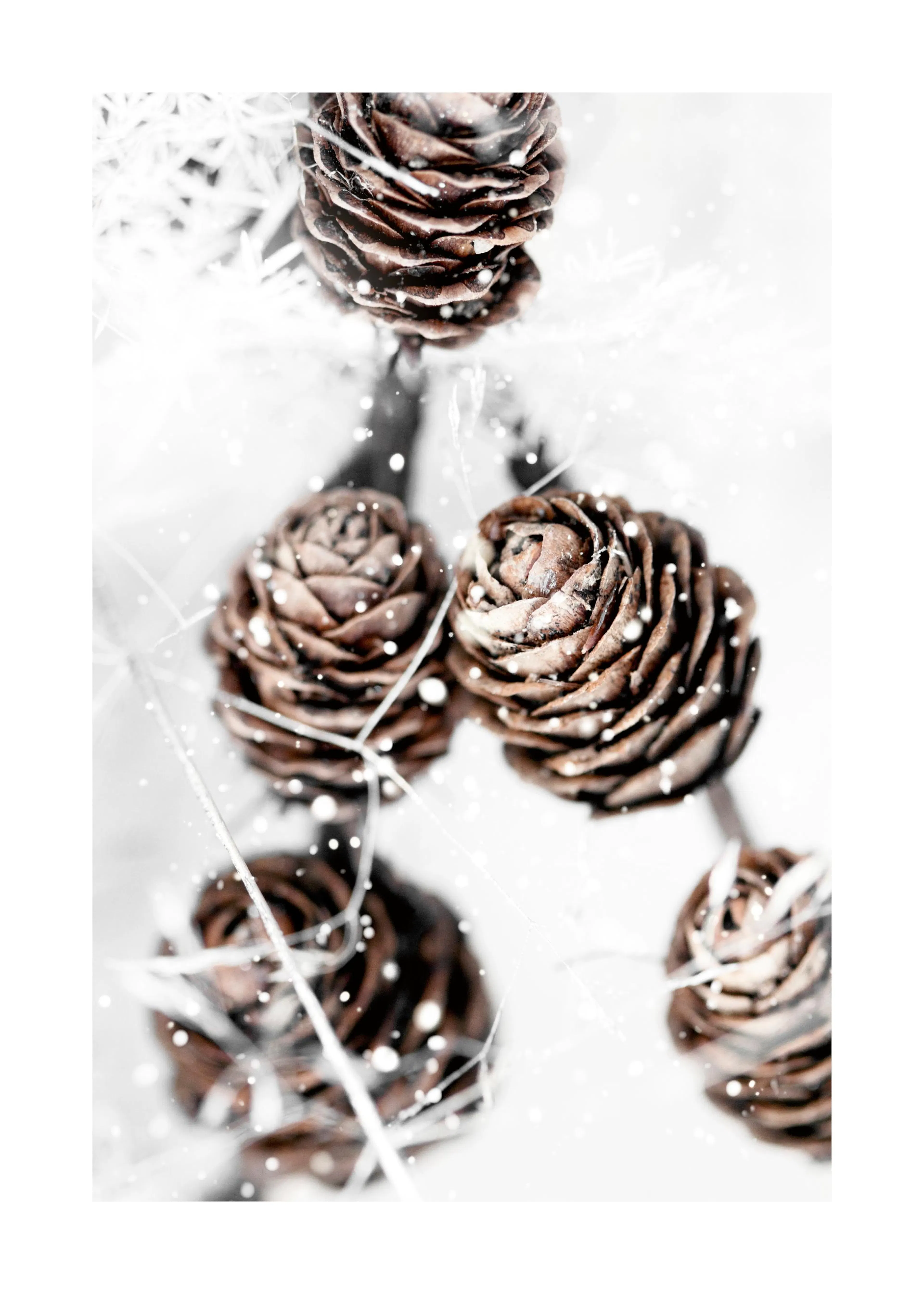 Product image: 1