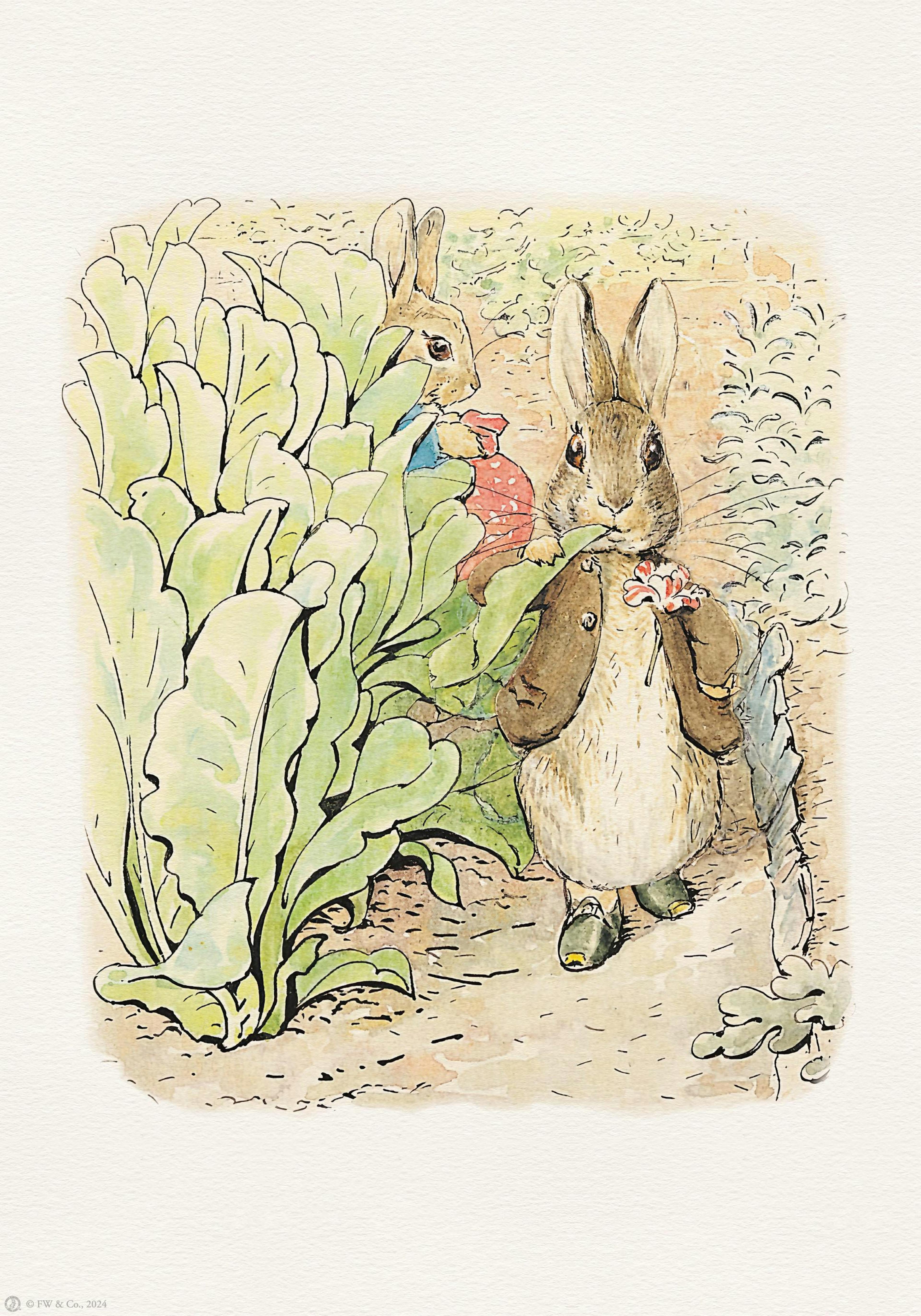 Een Beatrix Potter poster van Pieter Konijn die een bloem vasthoudt, met een andere konijn achter grote bladeren.
