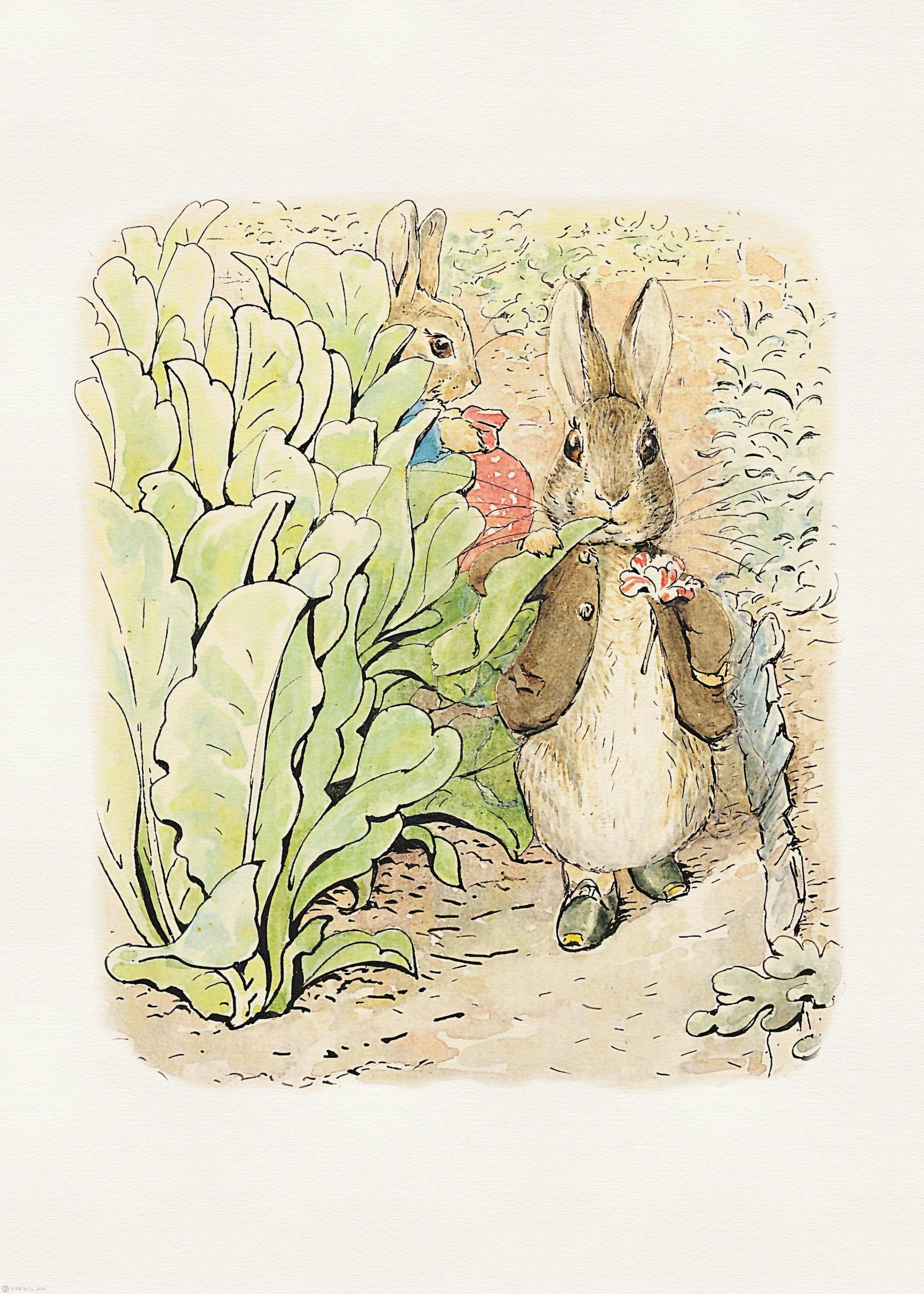 Poster com dois coelhos numa horta, um escondido atrás de couves e o outro a segurar uma flor.