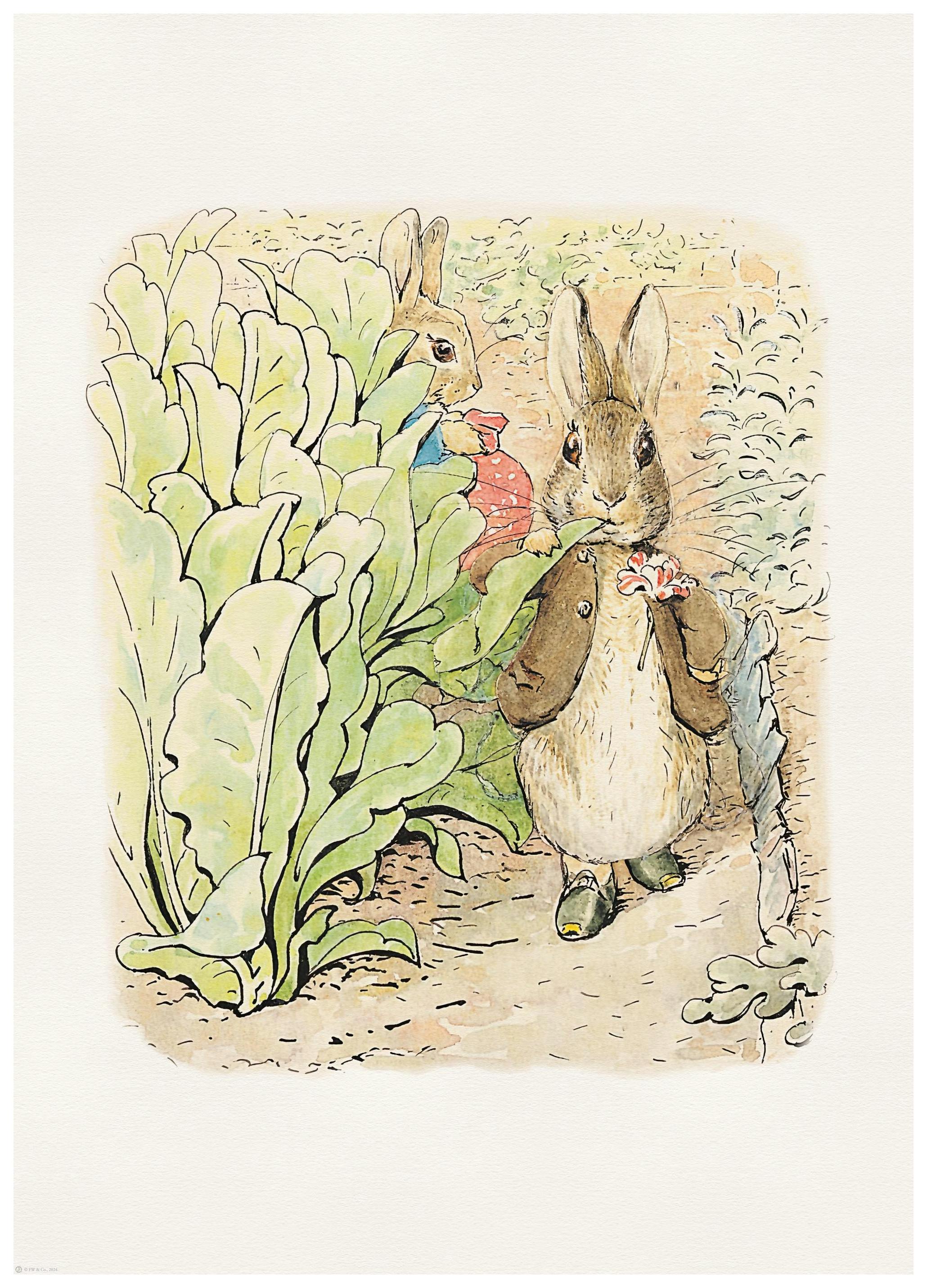 Peter Rabbit and Friends No2 Poster (30x40 cm) - Kinderposter