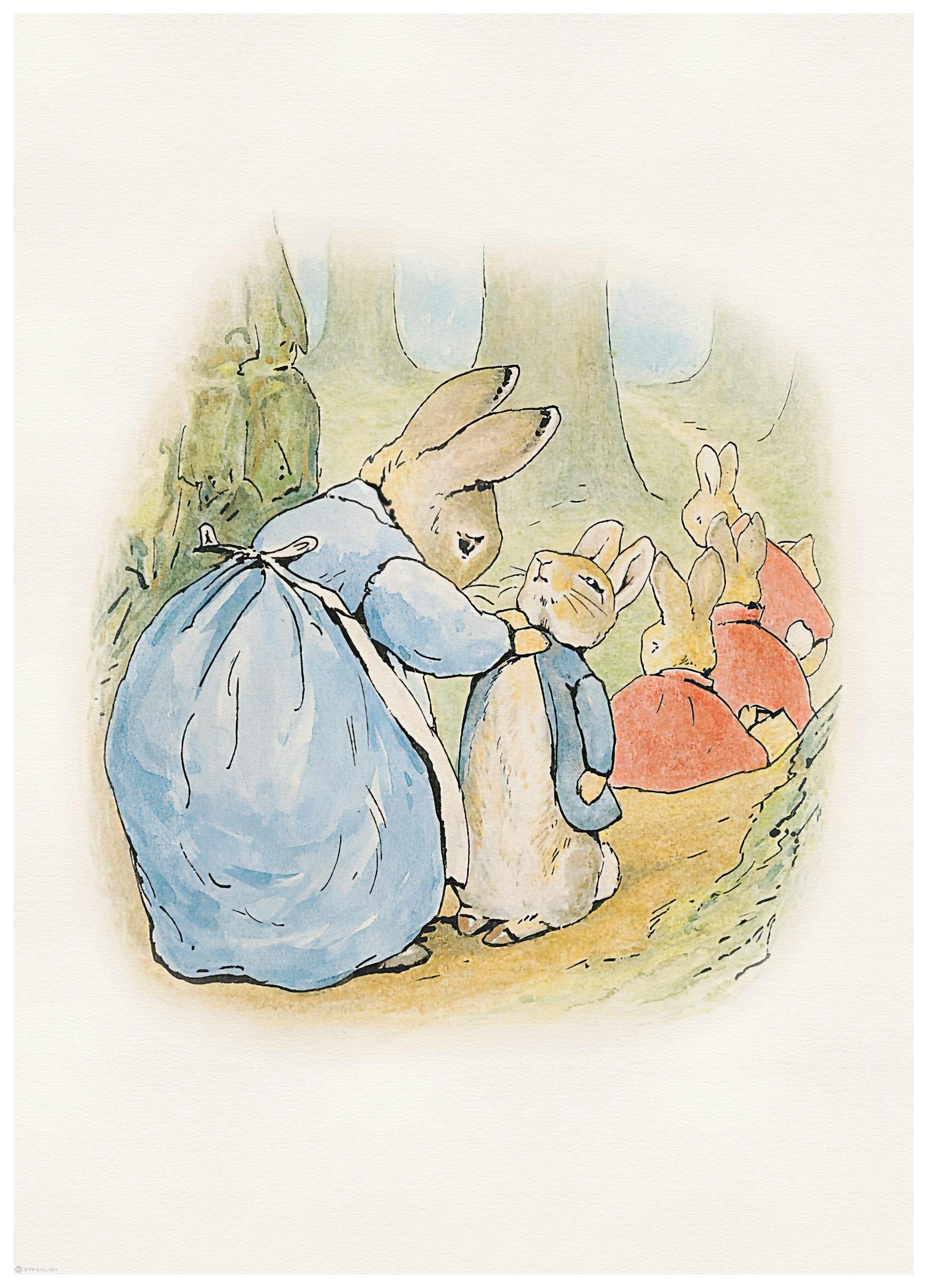 Peter Rabbit and Friends No3 Print (50x70 cm)