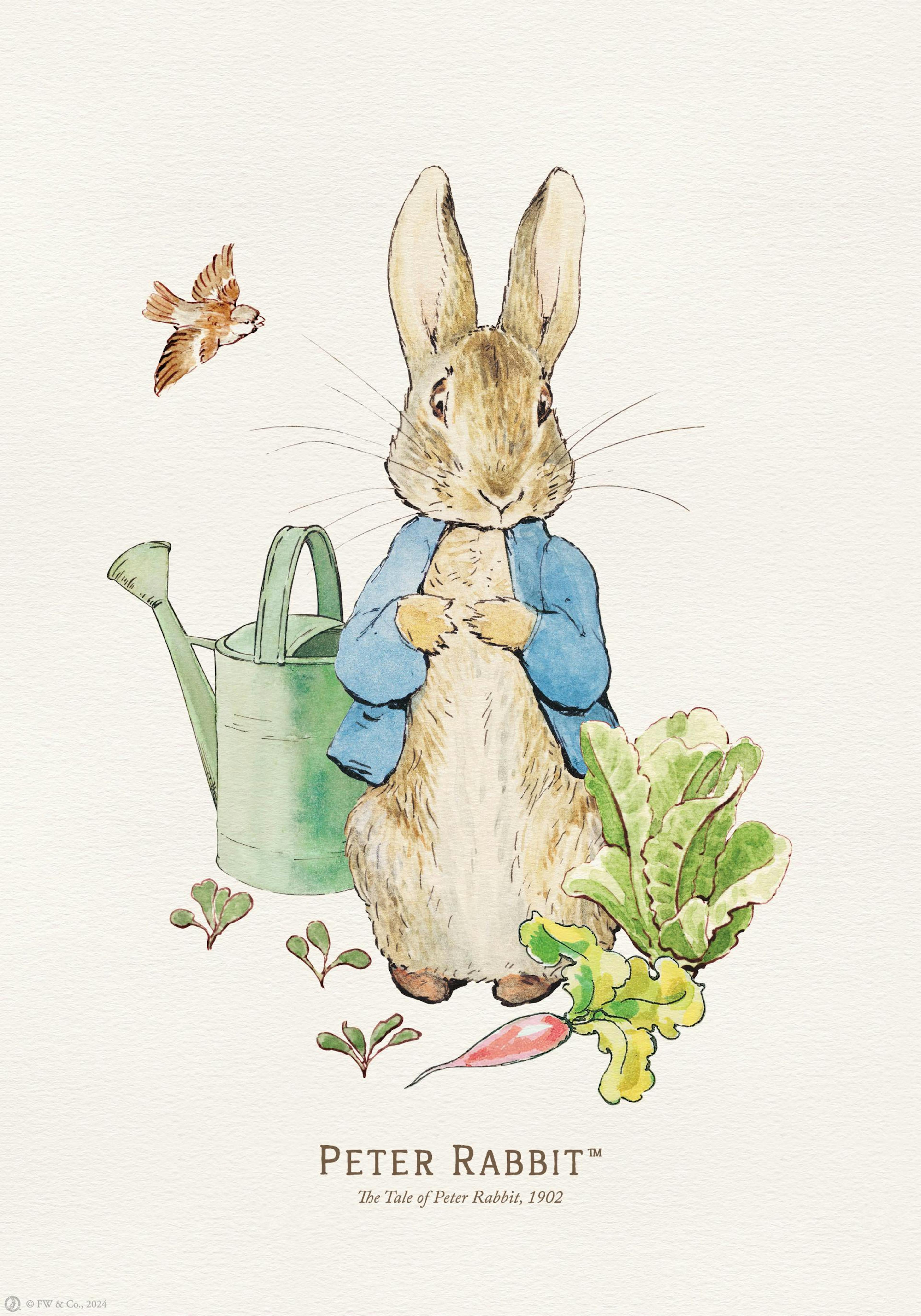 A Peter Rabbit print featuring a rabbit in a blue jacket with a watering can, radish, and lettuce.