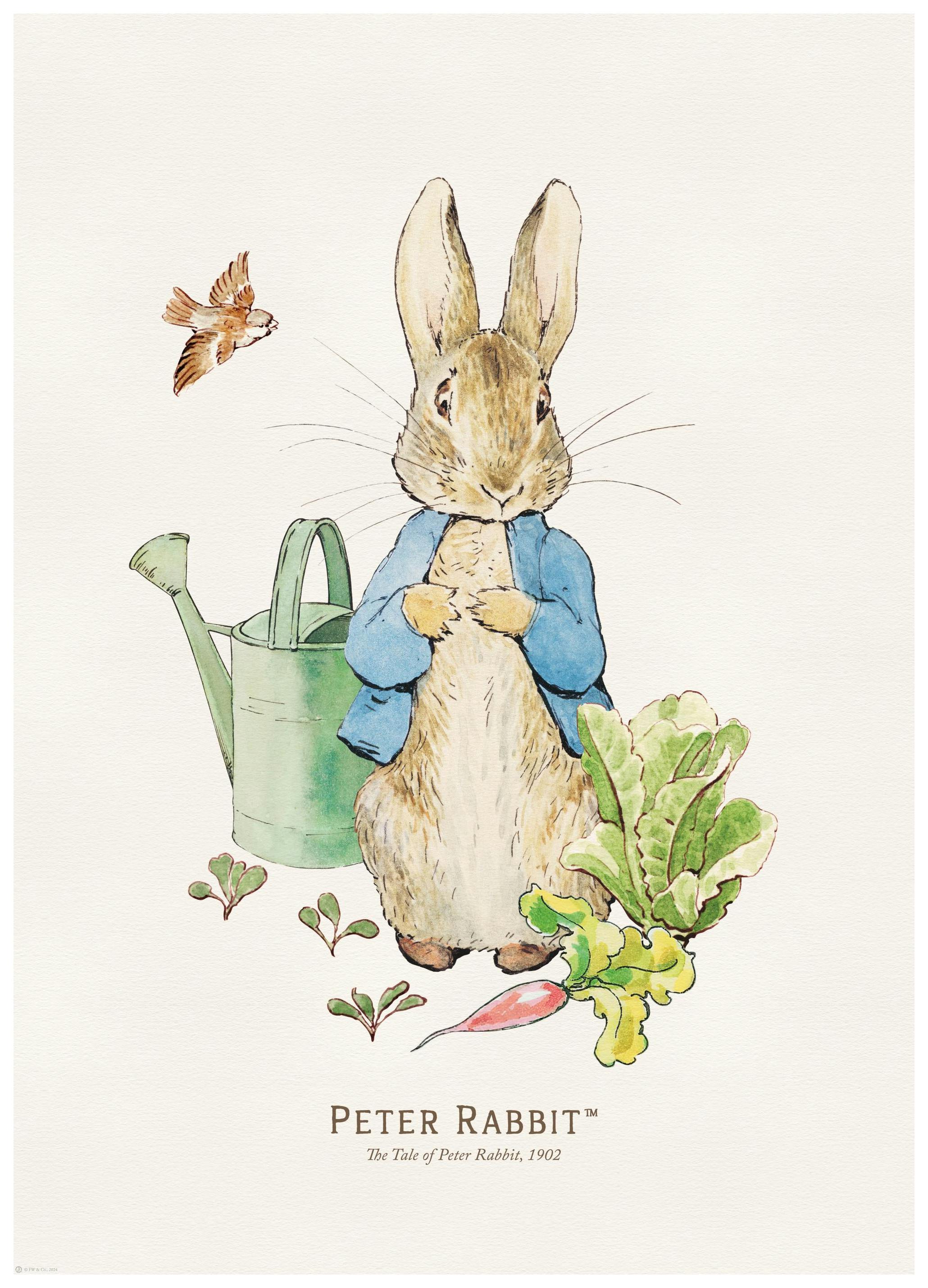 Peter Rabbit Illustration Poster (50x70 cm)