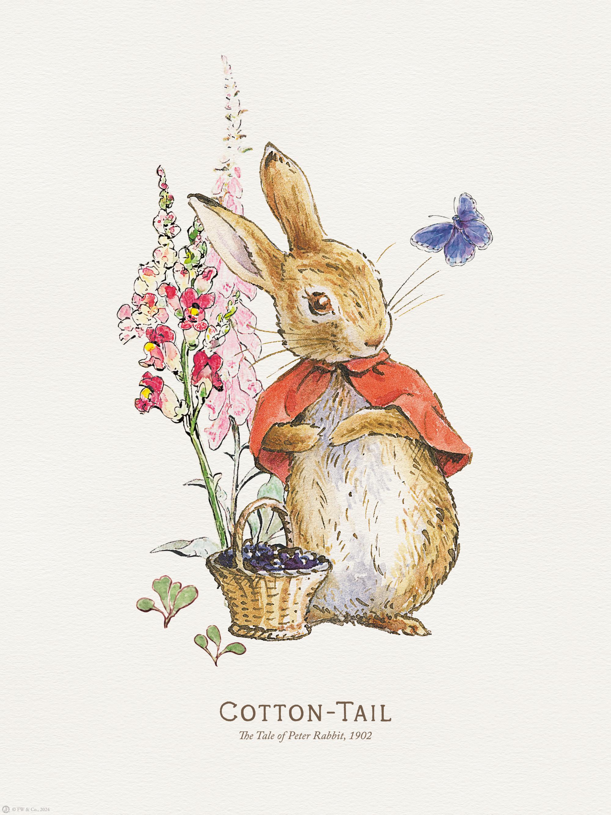 Peter Rabbit - Cotton Tail Illustration Print