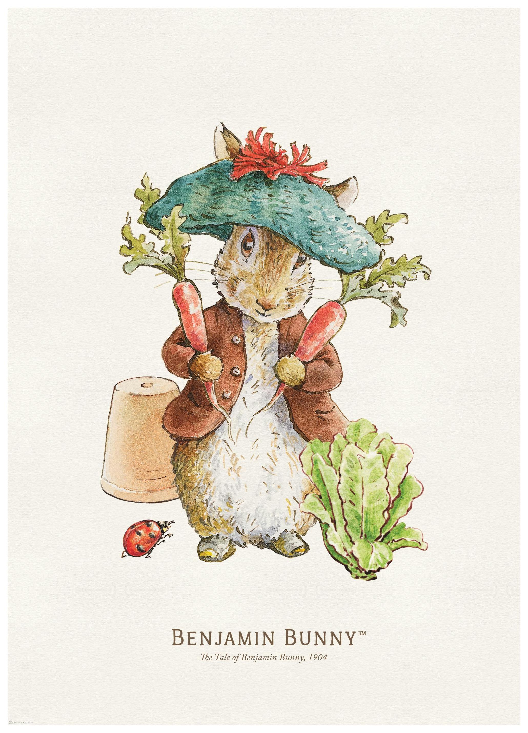 Peter Rabbit - Benjamin Bunny Illustration Poster (21x30 cm) -  Kinderposter