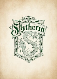 Harry Potter Slytherin Crest Poster Desenio EU