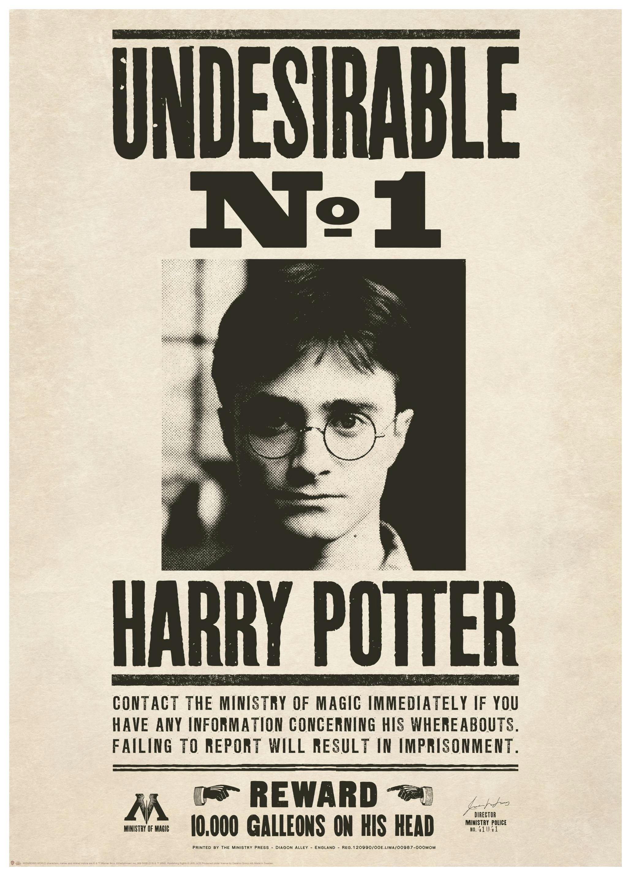 Prints - Harry Potter - Undesirable Print (50x70 cm) - Harry Potter