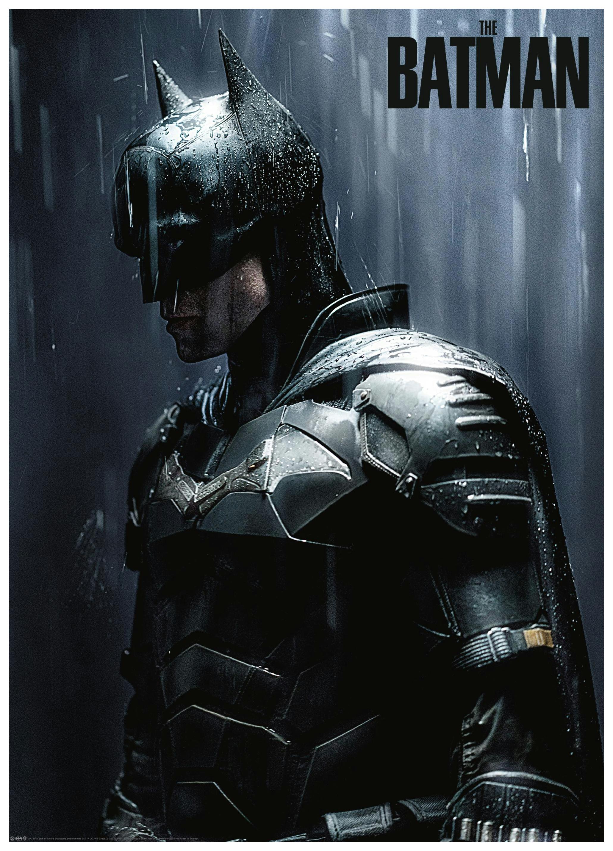 The Batman - Downpour Affiche (30x40 cm) - Batman
