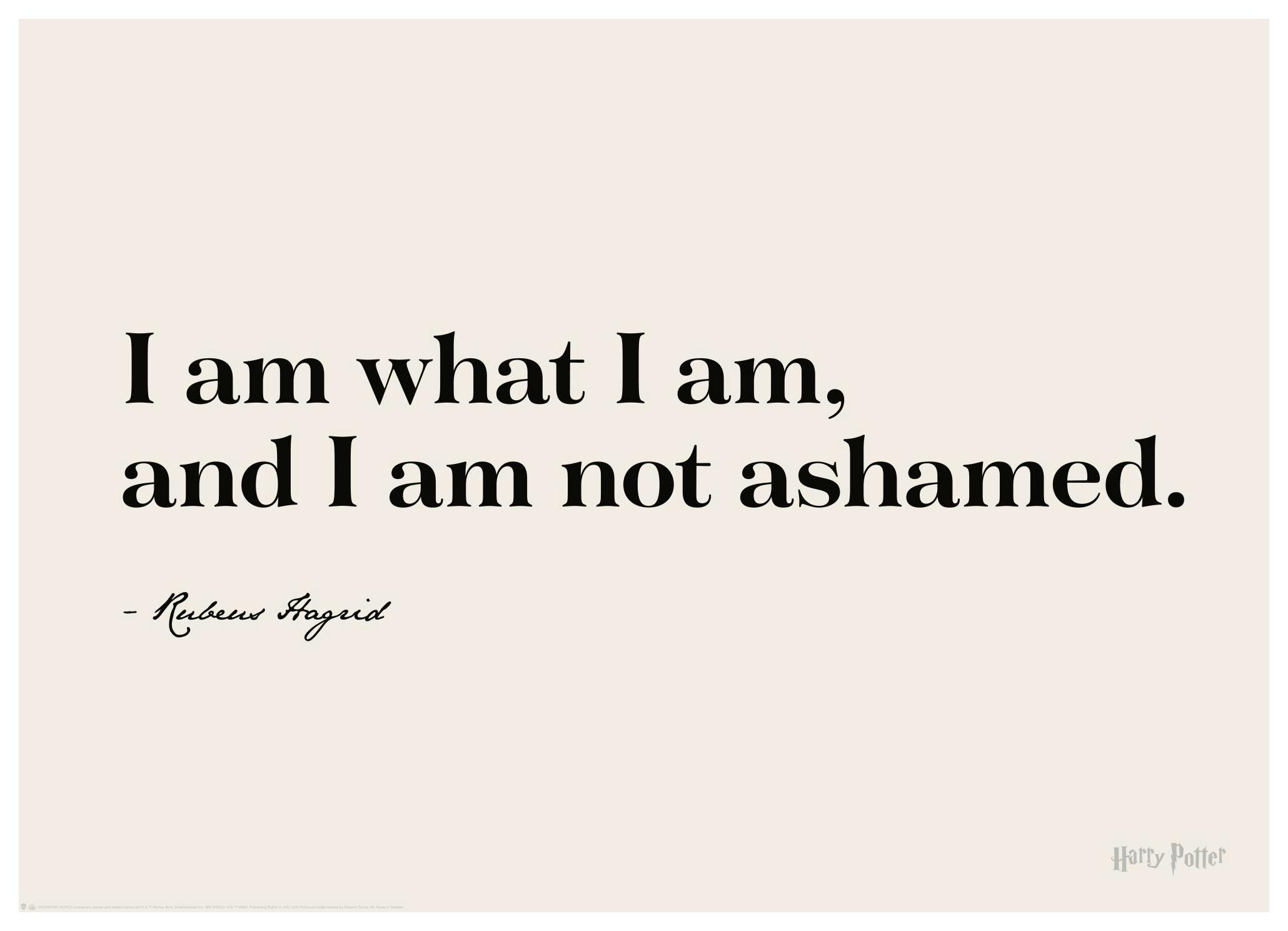 Prints - Harry Potter - I am What I am Print (30x40 cm) - Harry Potter