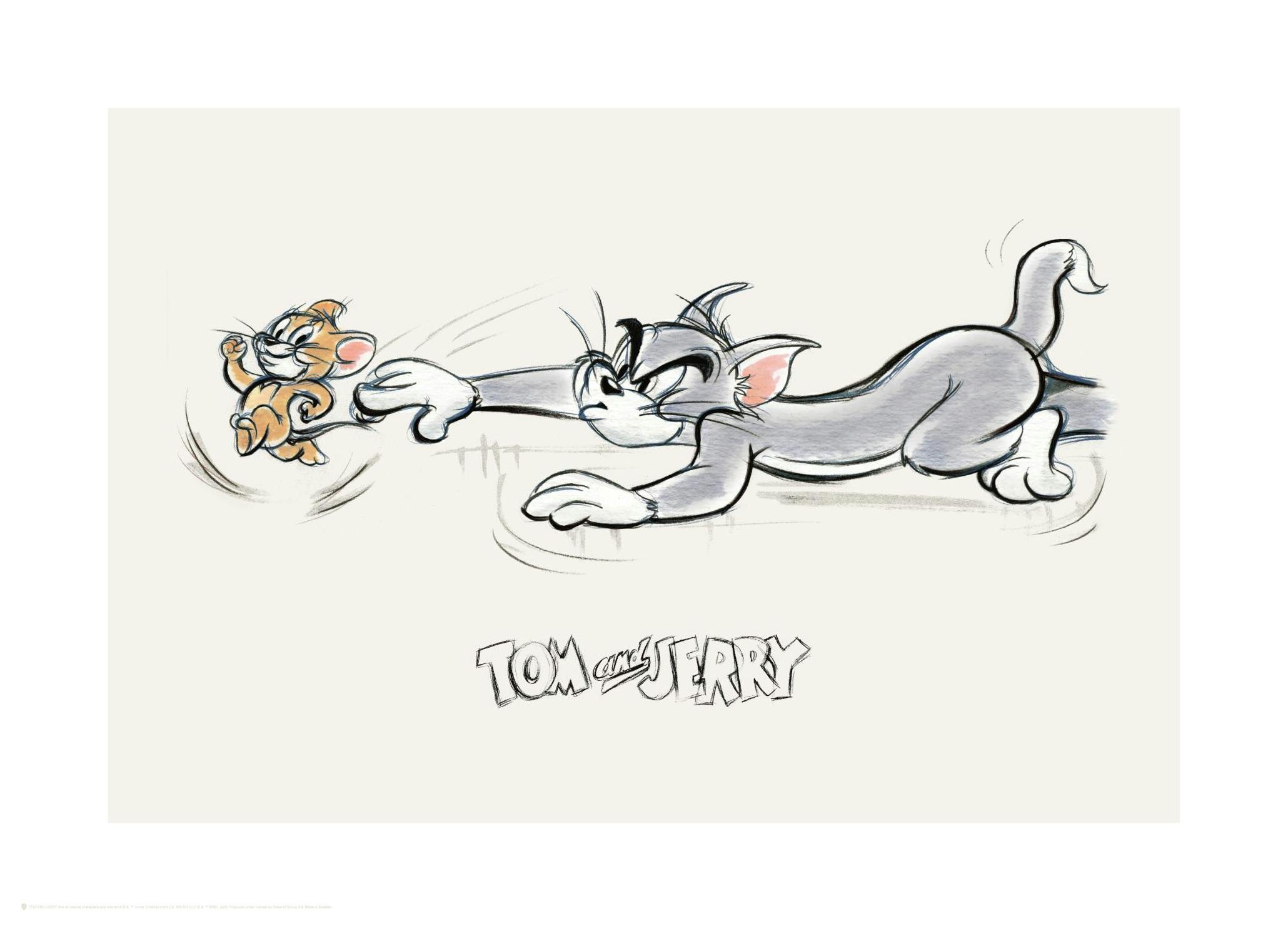 Tom & Jerry⢠- Sketch No3 Poster (30x40 cm)