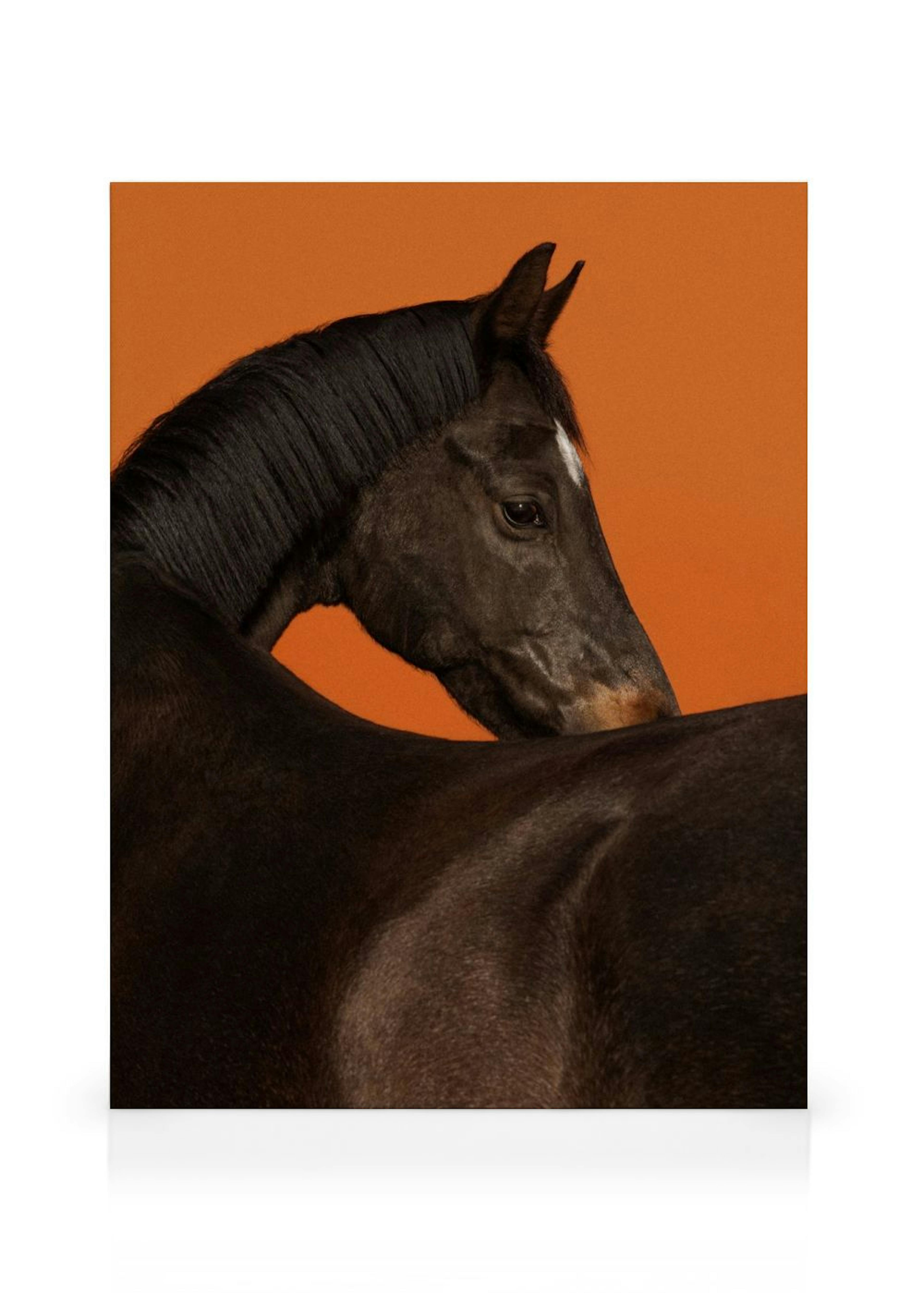 Product image: 1