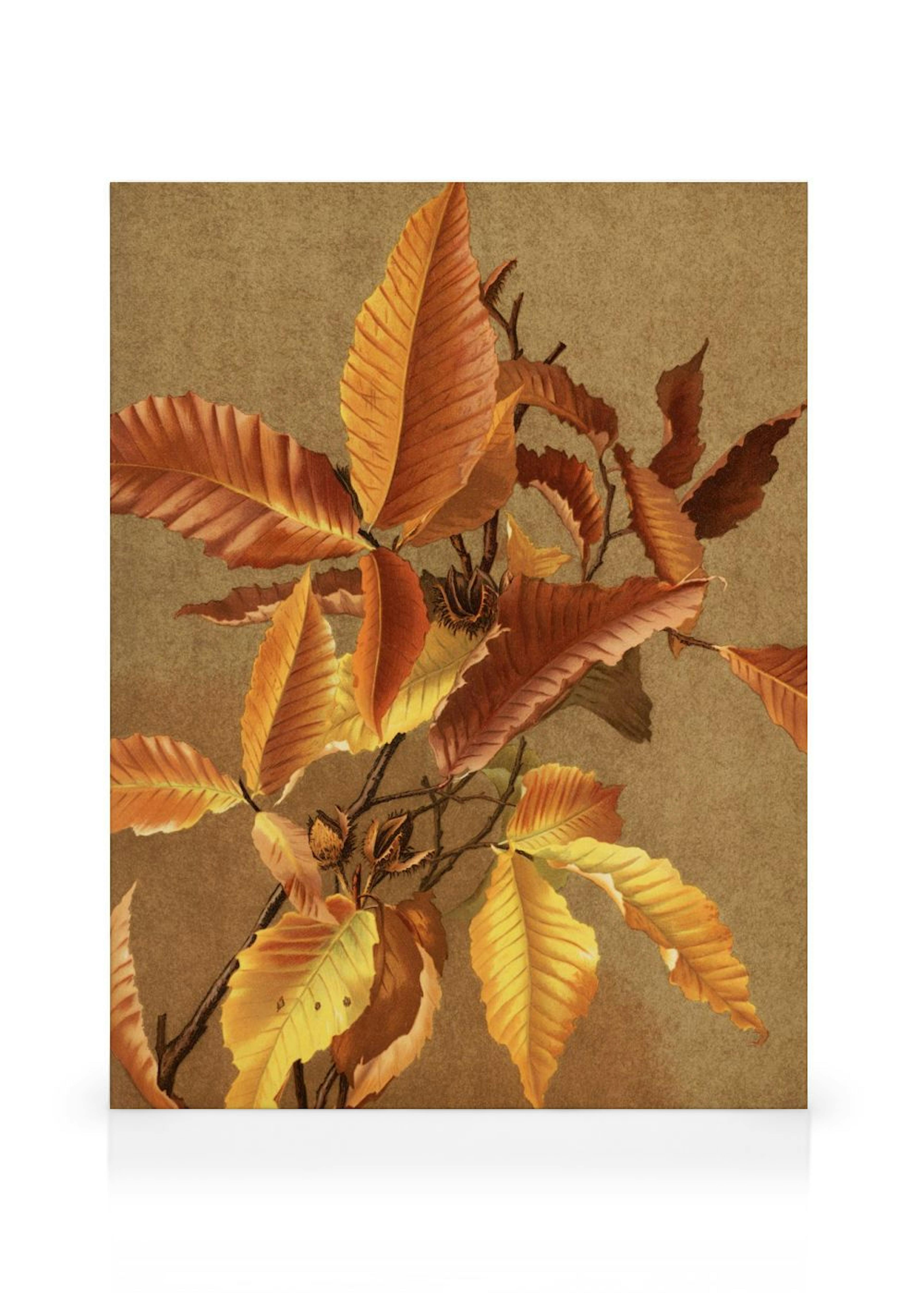 Product image: 1
