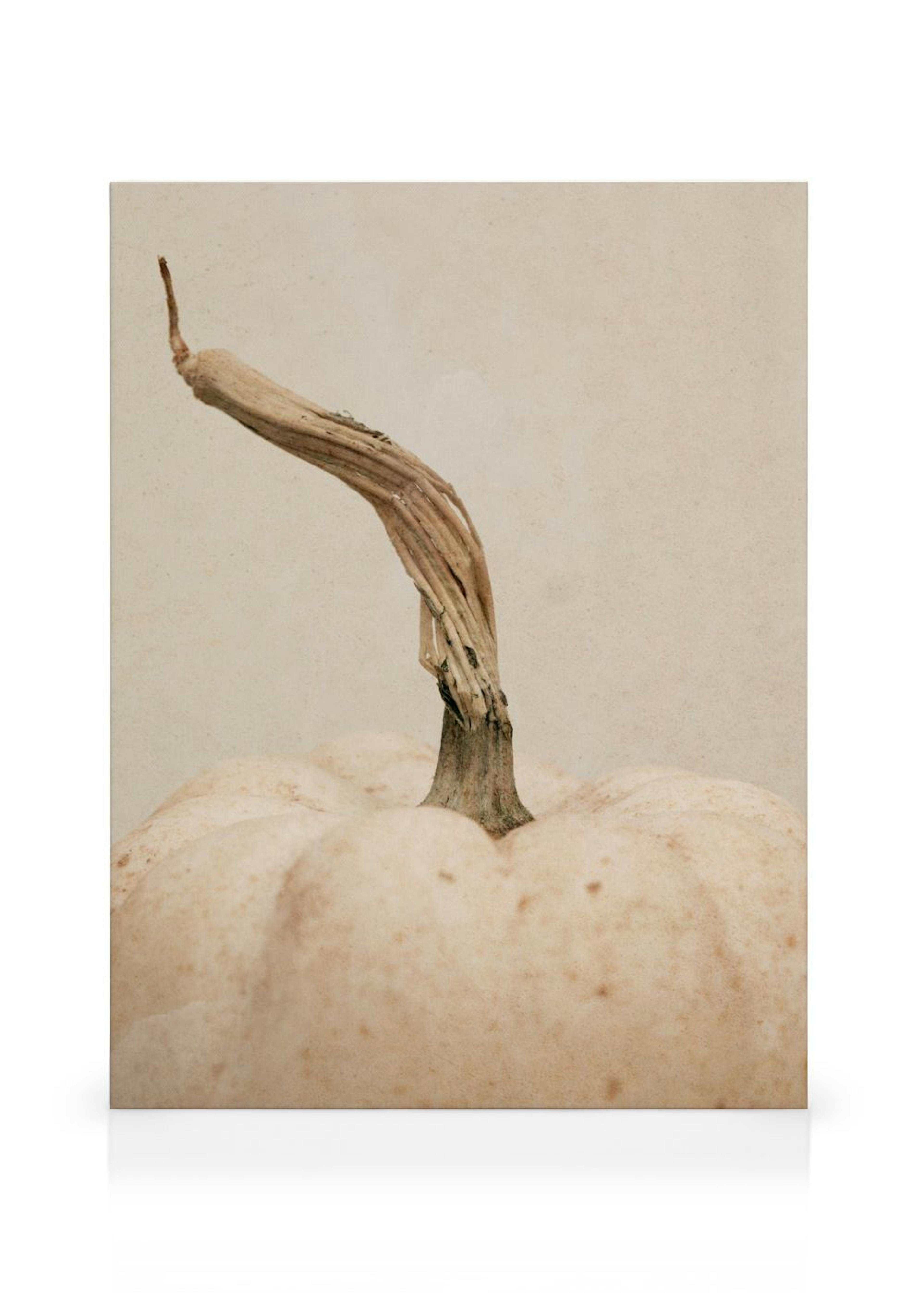 Product image: 1