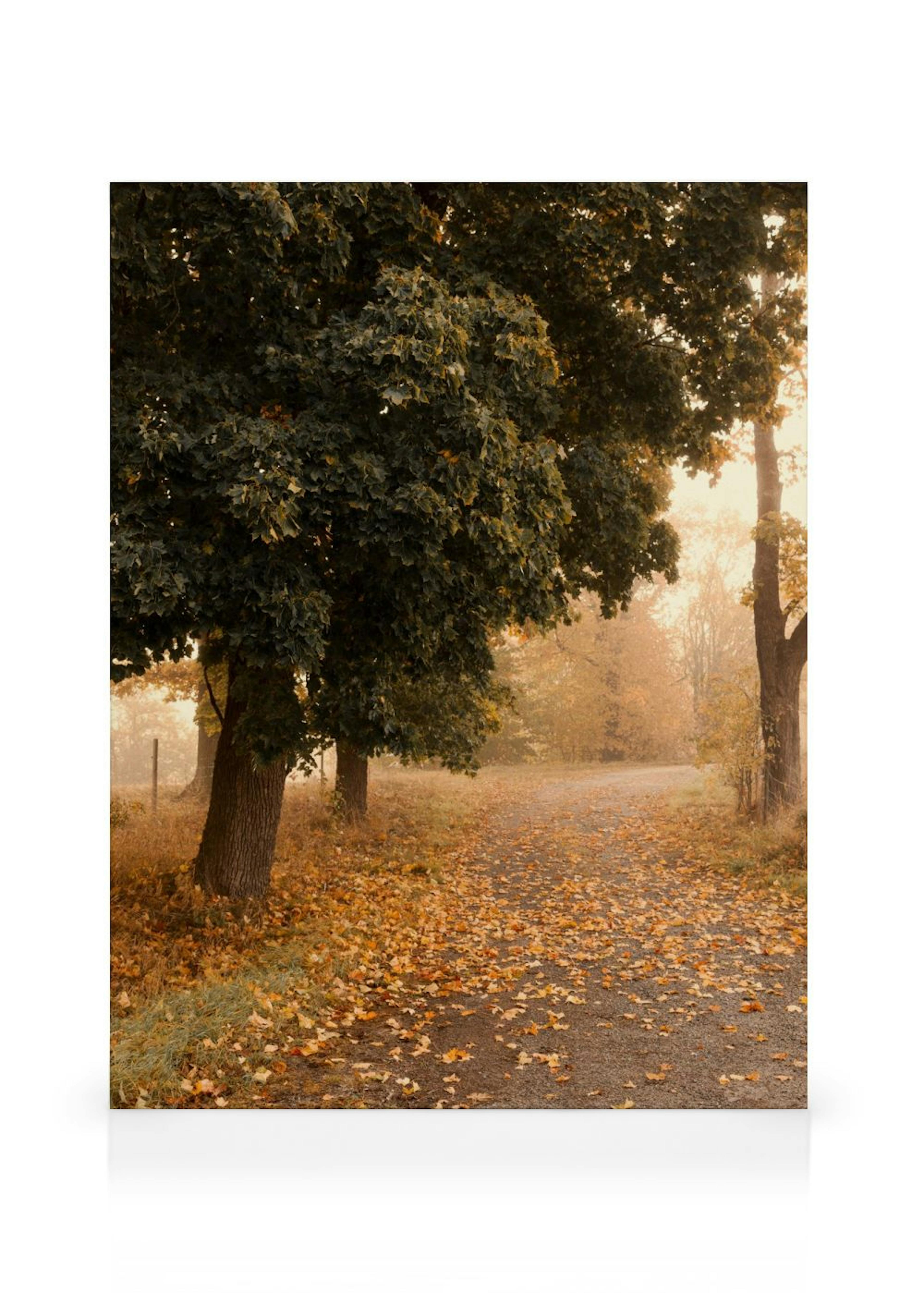 Product image: 1