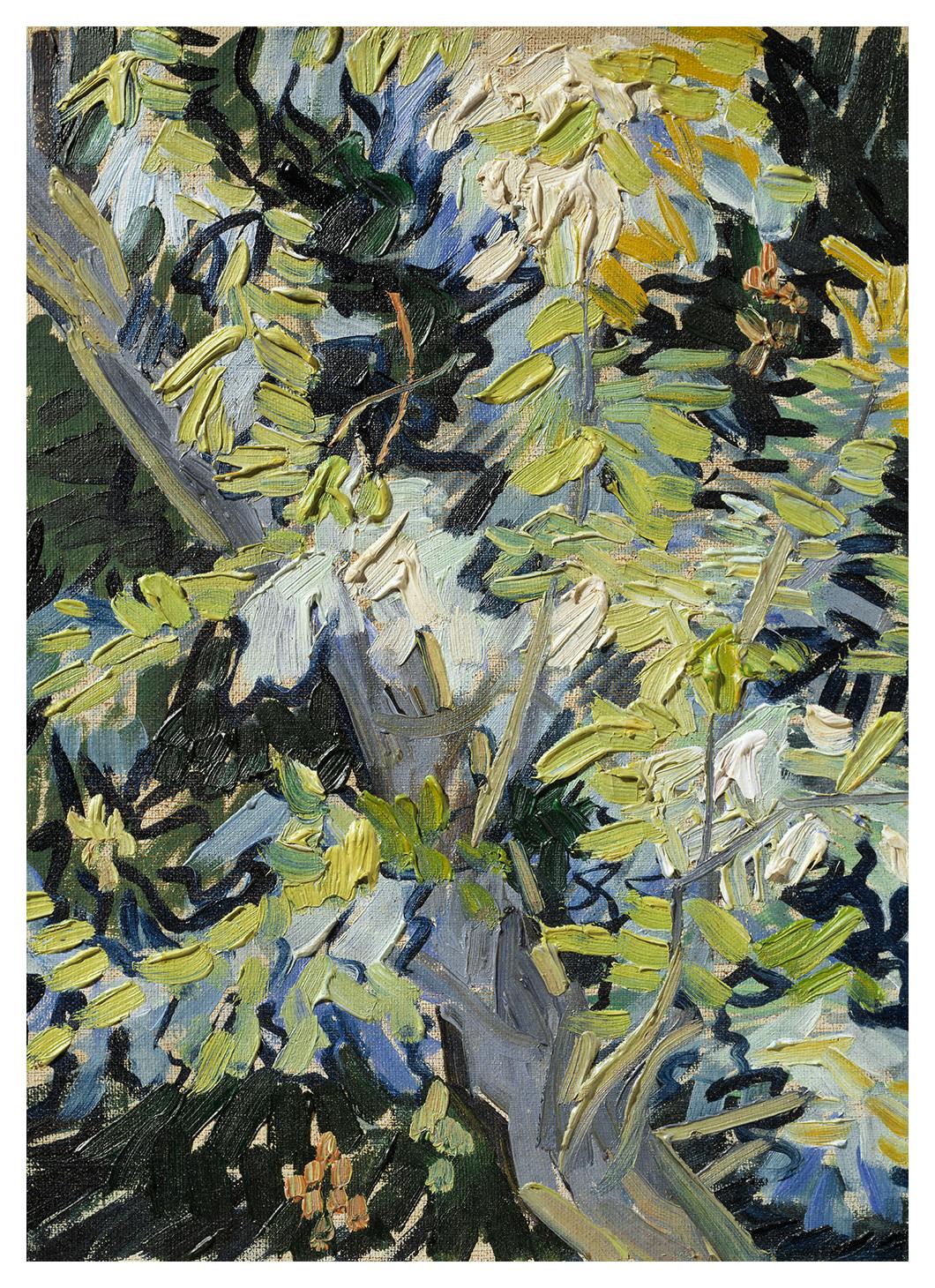 Van Gogh - Blossoming Acacia Branches Poster (100x150 cm)