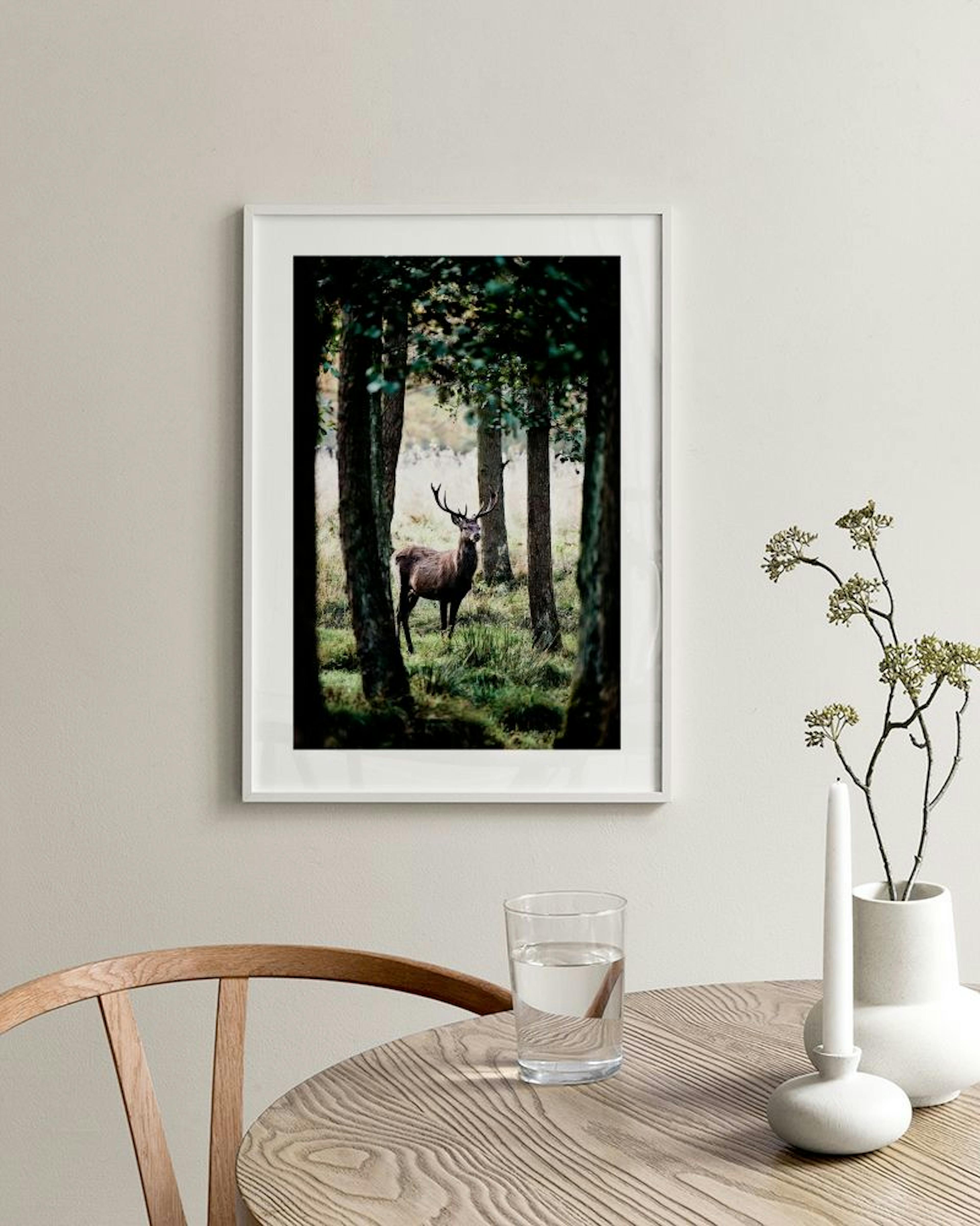 Poster van een hert in een mistig, groen bos, hangend boven een wit dressoir met planten en boeken.