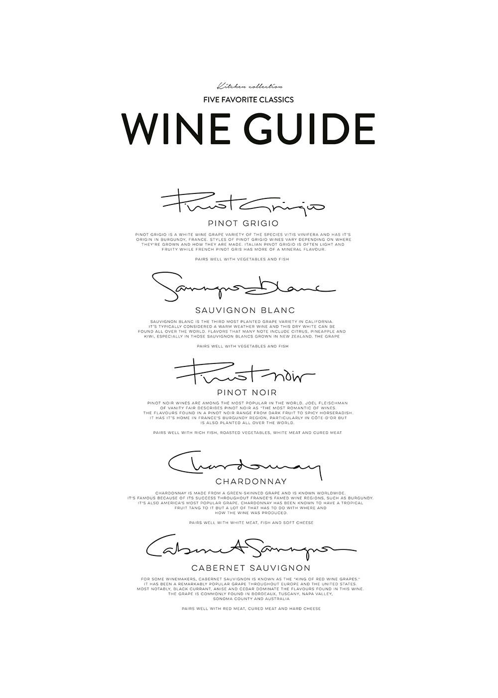 Weinführer Poster für Küche mit 5 Rebsorten: Pinot Grigio, Sauvignon Blanc, Pinot Noir, Chardonnay, Cabernet Sauvignon und Besch