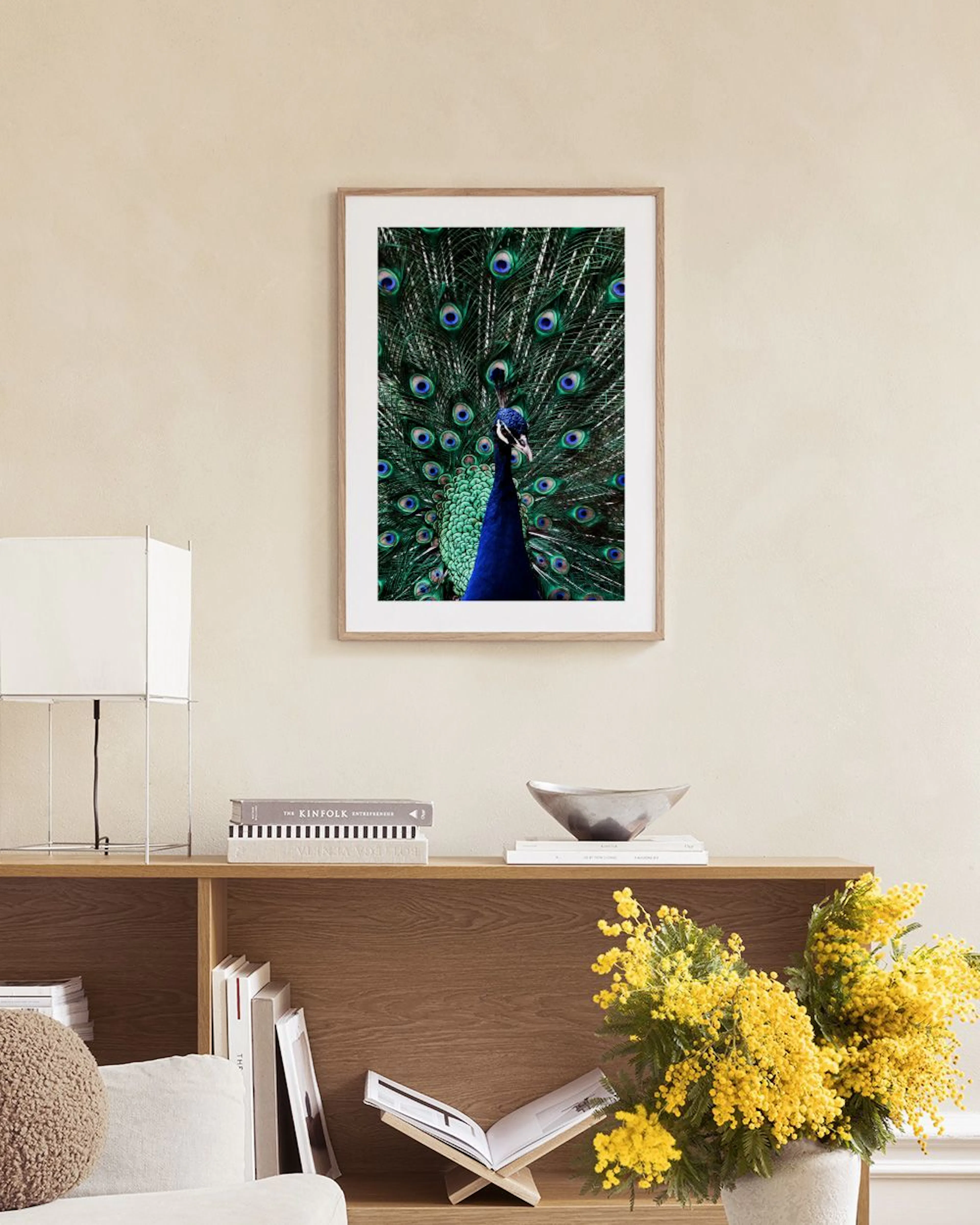 Poster mit Pfauenfoto, dessen blaues Gefieder und aufgefächerte Schwanzfedern an einer dunkelblauen Wand hängen.