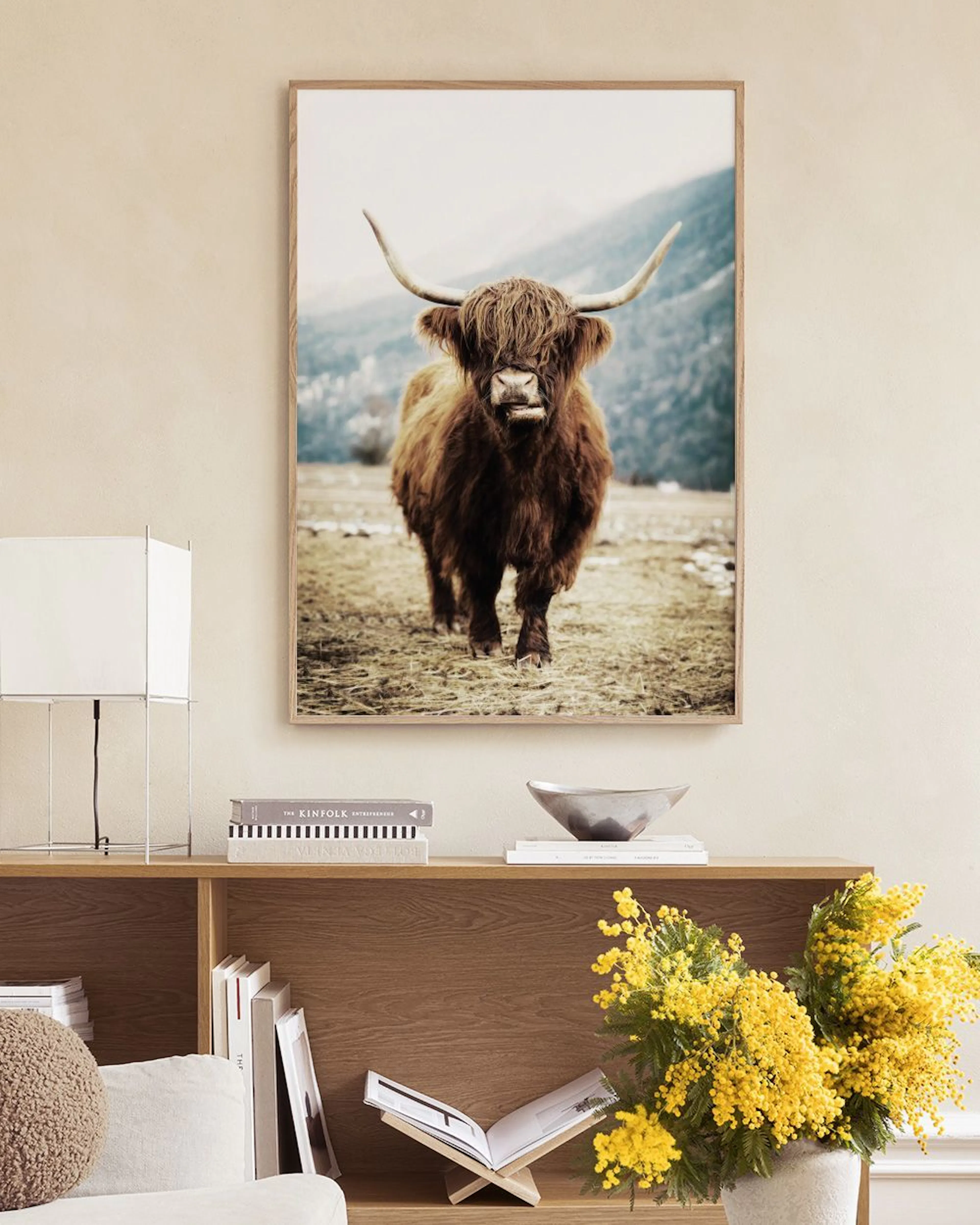 Plakat med skotsk høylandsfe stående i et åpent landskap, henger over et hvitt skap i en stue.
