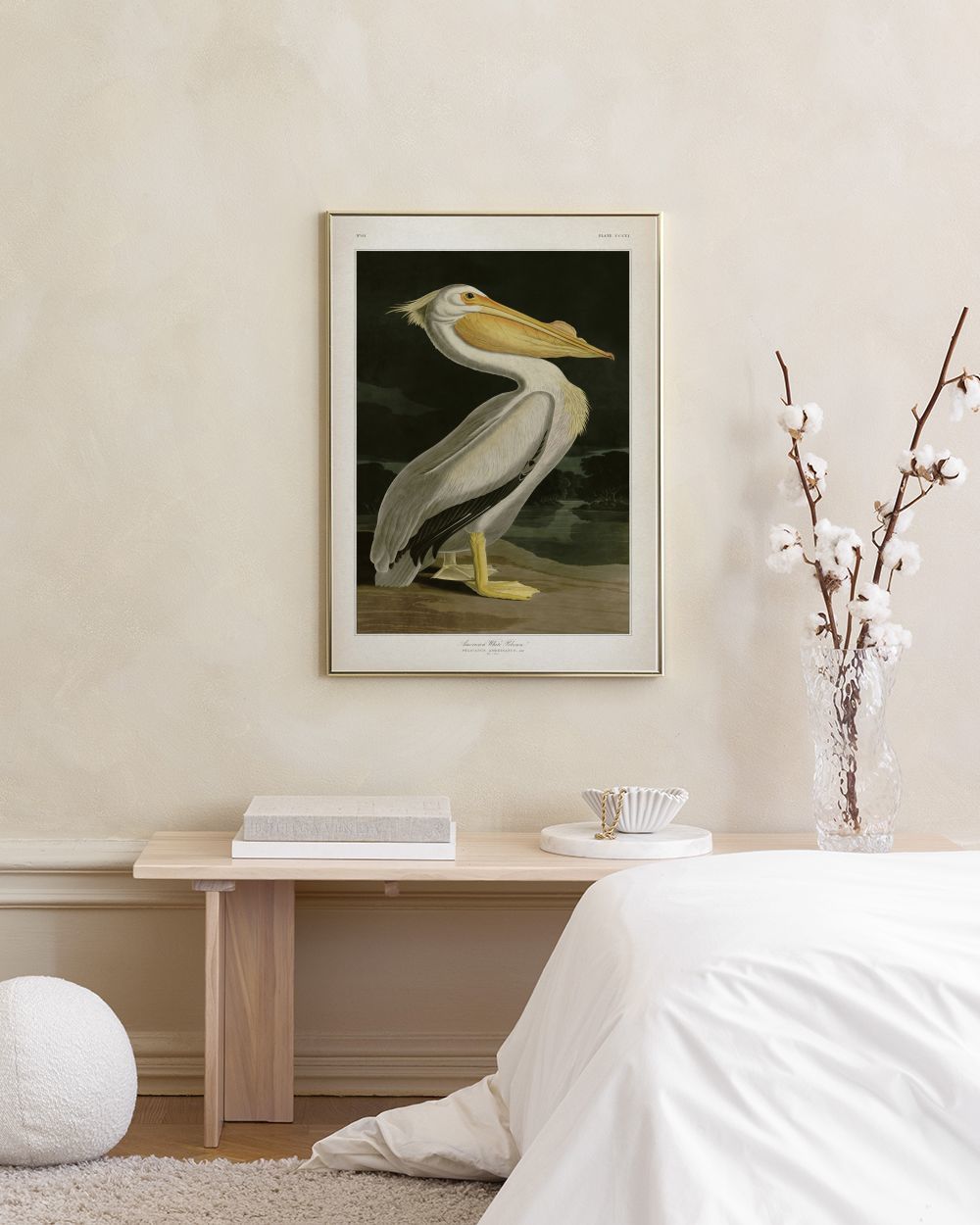 American White Pelican Print – Bird Poster | Desenio