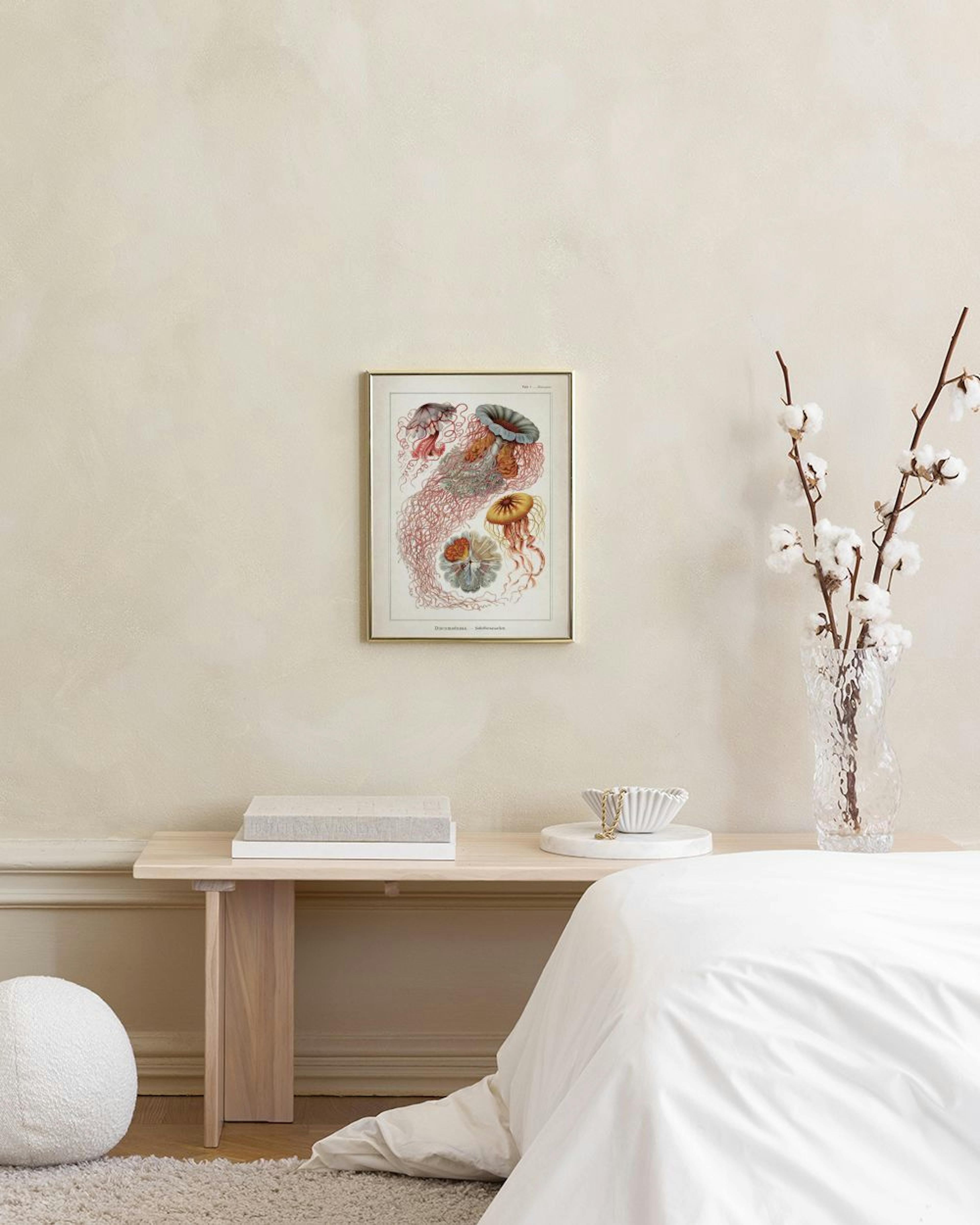 Poster mit Quallen-Illustration in Rot, Gelb und Grau, über einer Holzbank mit Büchern und Glasflaschen.